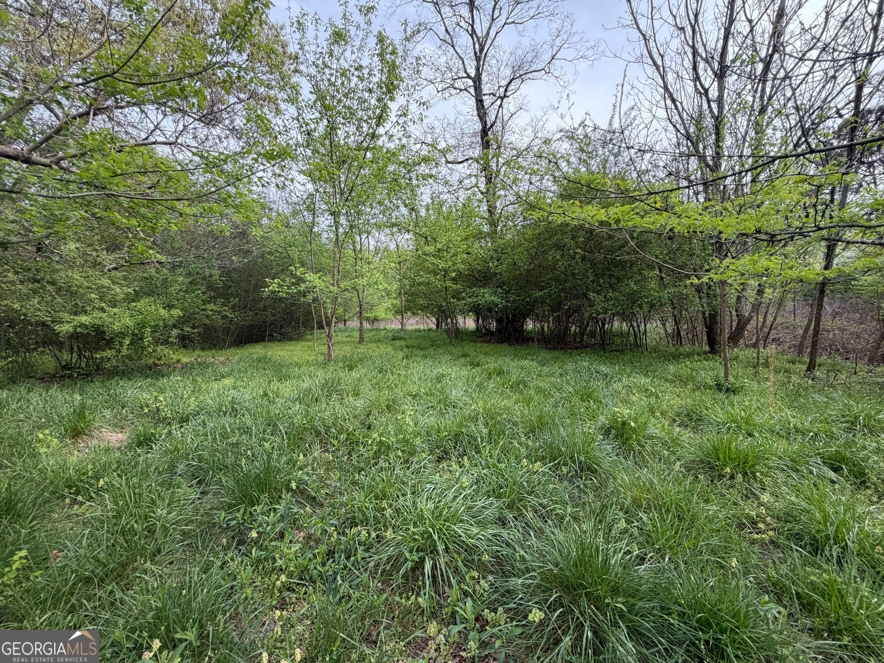 0 N County Line Road Alto GA 30510