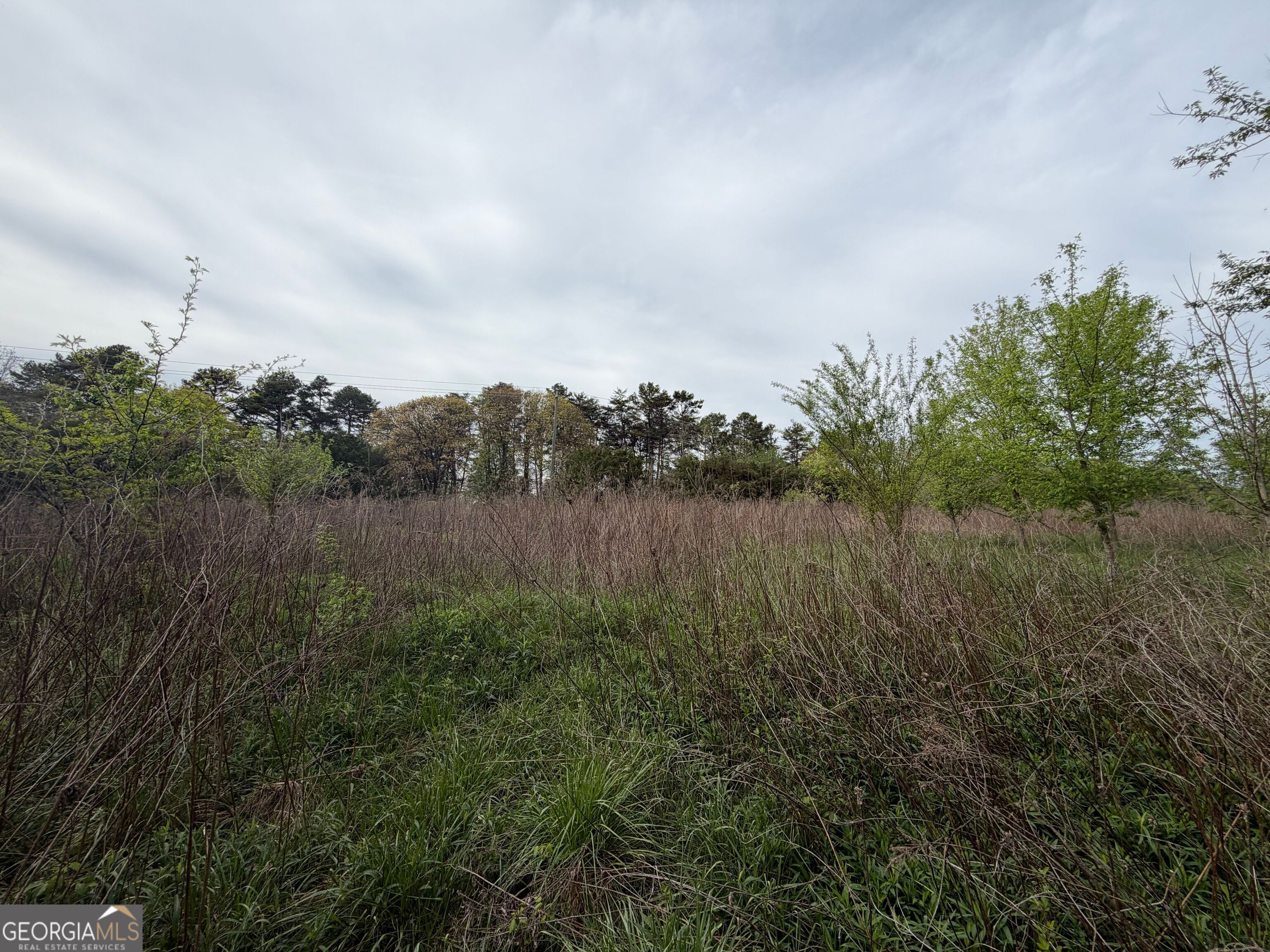 0 N County Line Road Alto GA 30510