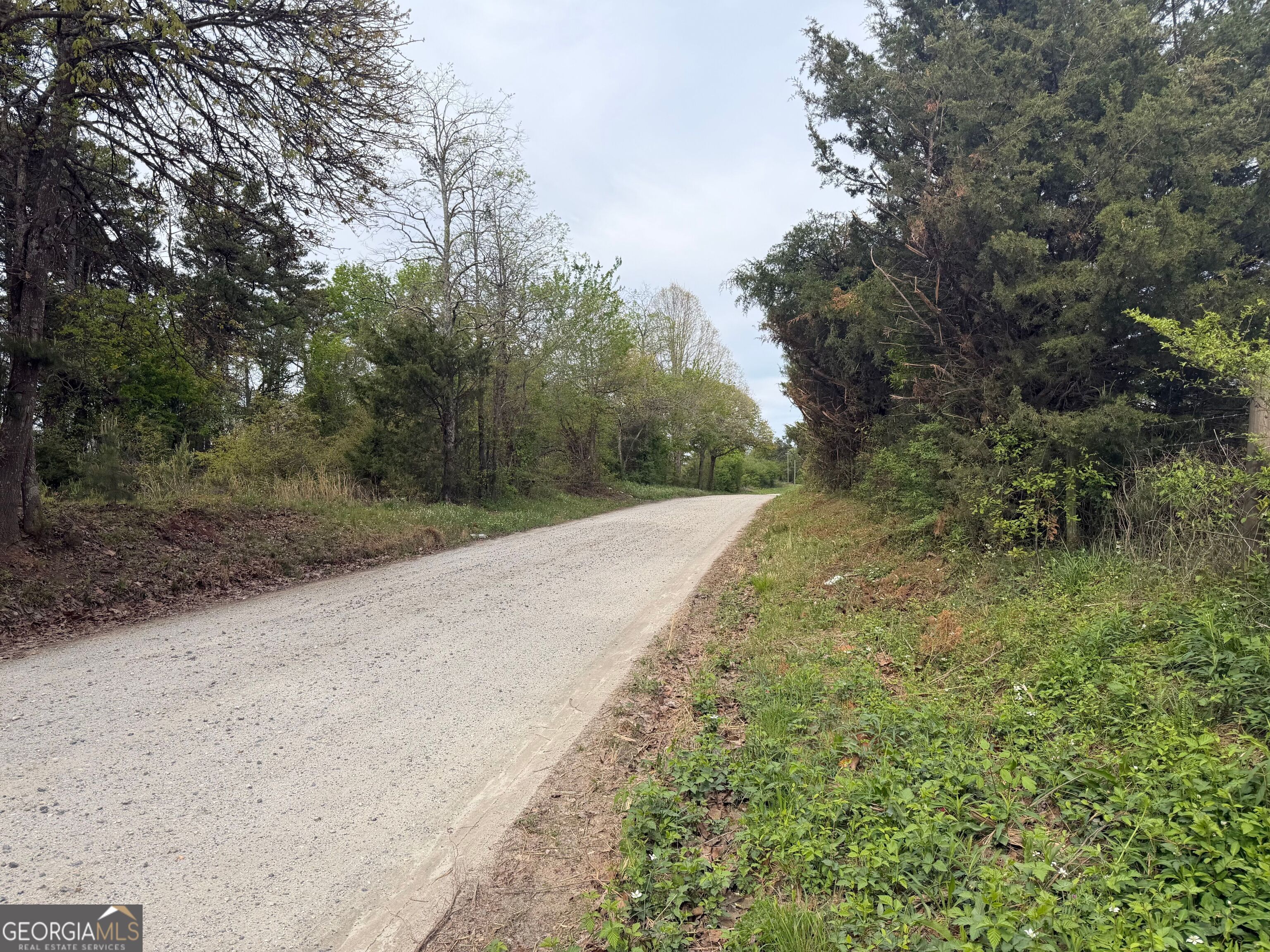 0 N County Line Road Alto GA 30510