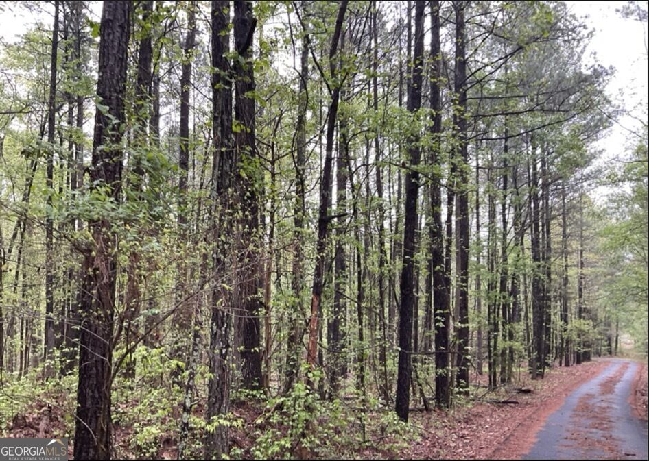 0 Labudde Lane Colbert GA 30628