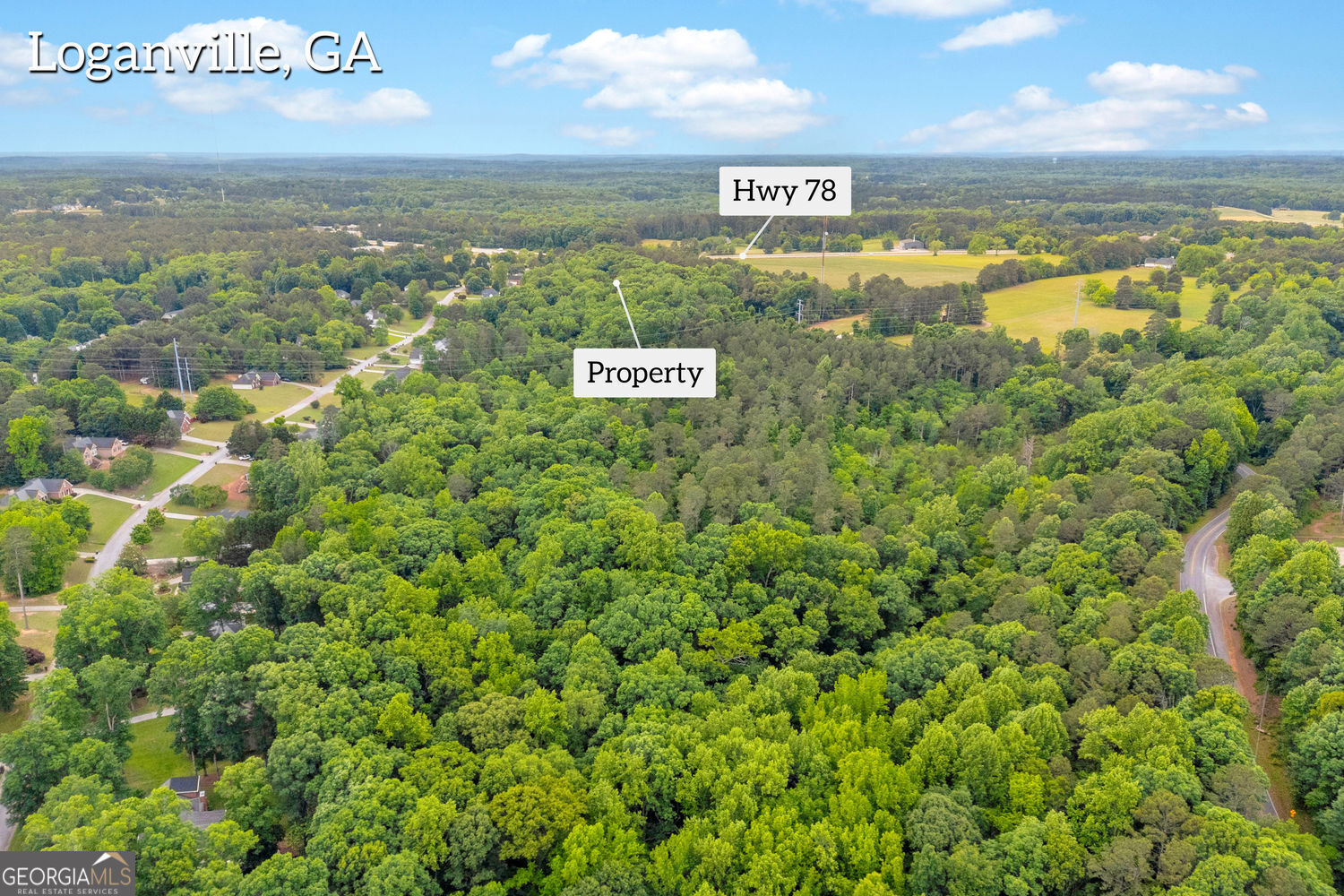 0 Cown Road Loganville GA 30052