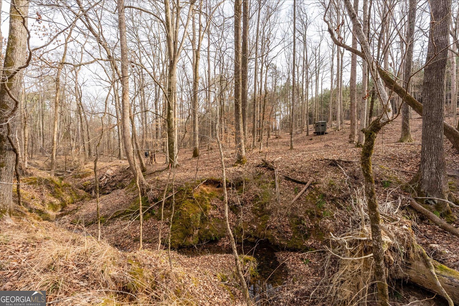 0 Winding Ridge Drive Tignall GA 30668