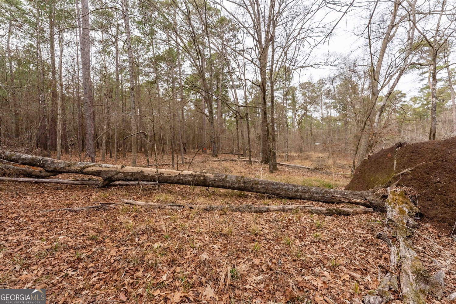 0 Winding Ridge Drive Tignall GA 30668