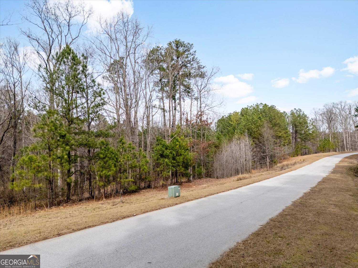 0 Winding Ridge Drive Tignall GA 30668