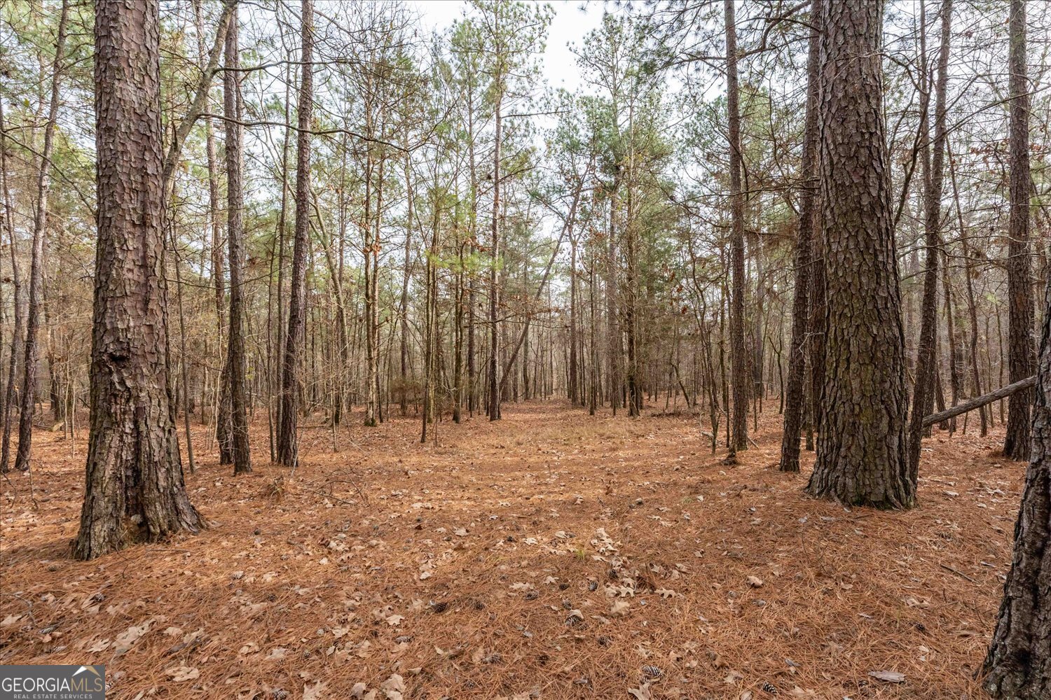 0 Winding Ridge Drive Tignall GA 30668