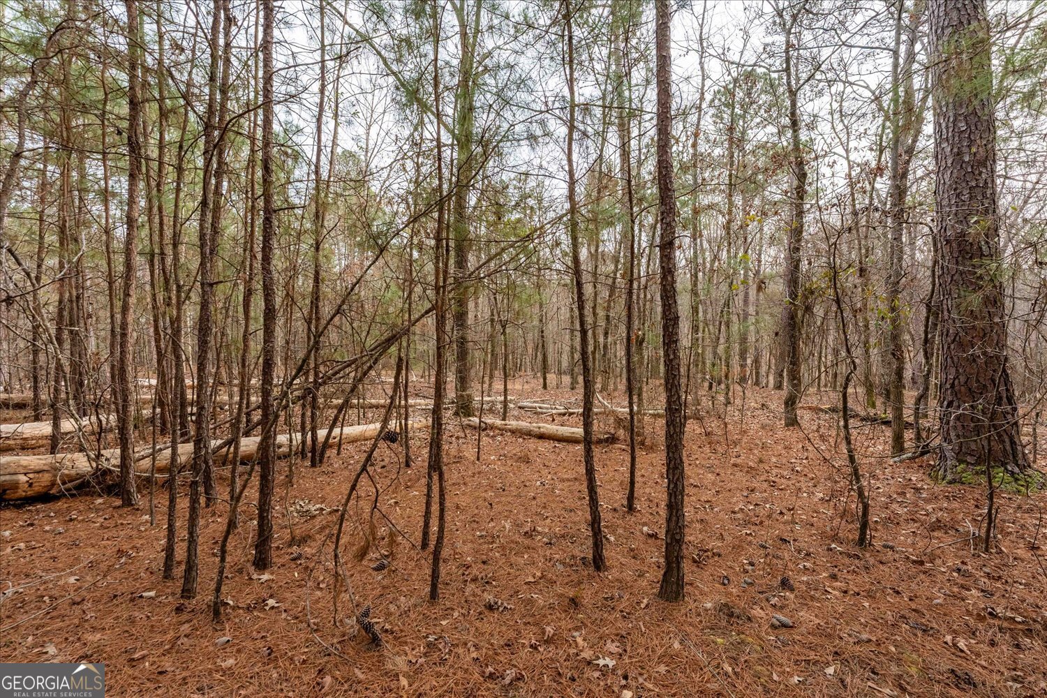 0 Winding Ridge Drive Tignall GA 30668
