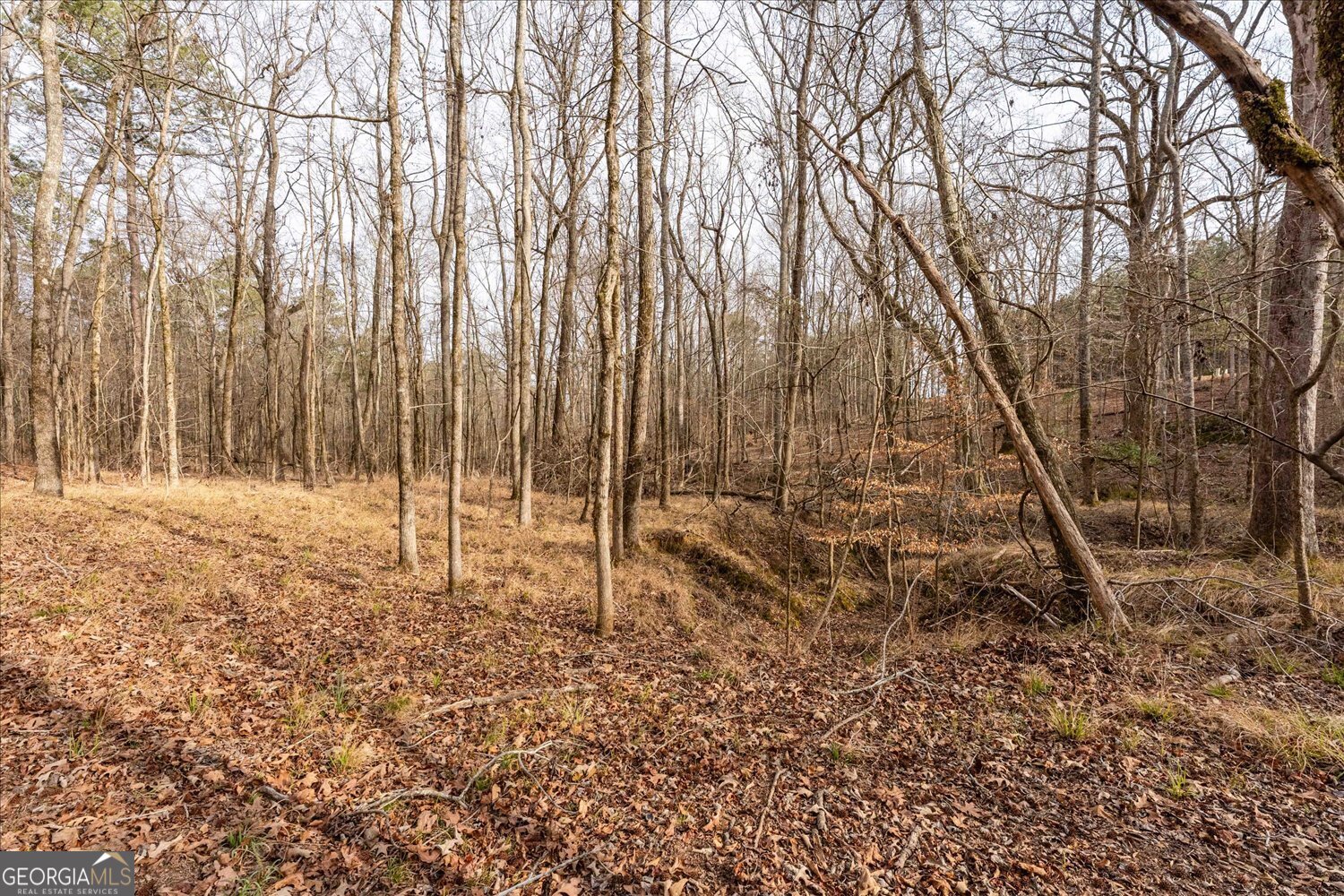 0 Winding Ridge Drive Tignall GA 30668