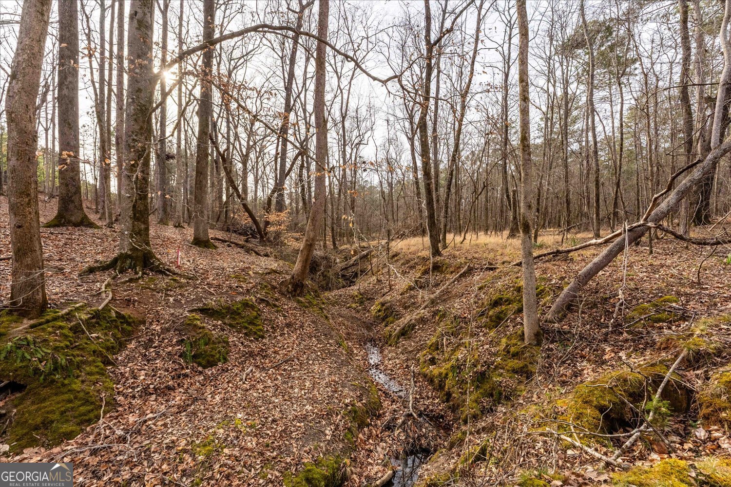0 Winding Ridge Drive Tignall GA 30668