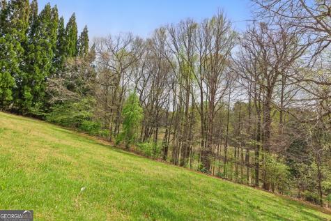 0 Granny Smith Circle Clarkesville GA 30523