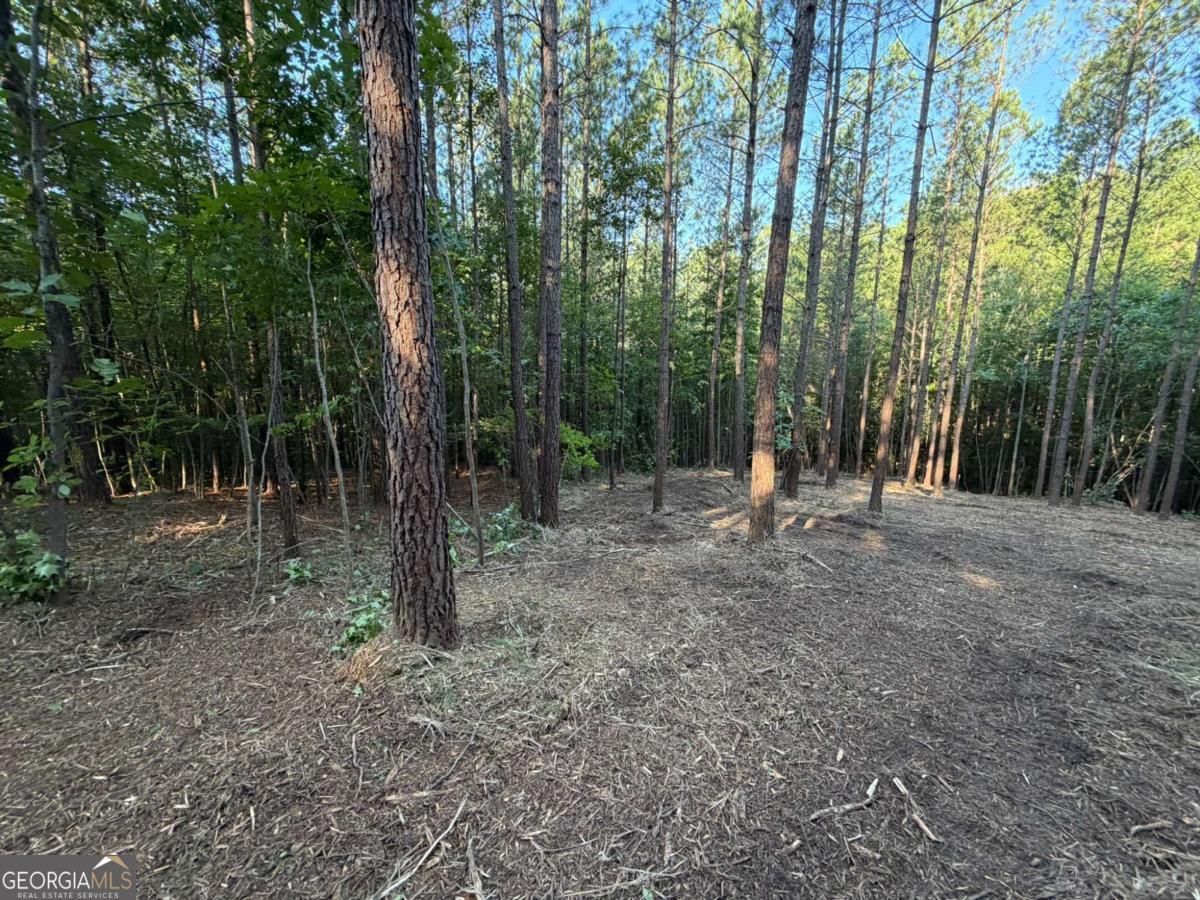 0 Lone Bear Path Dallas GA 30132