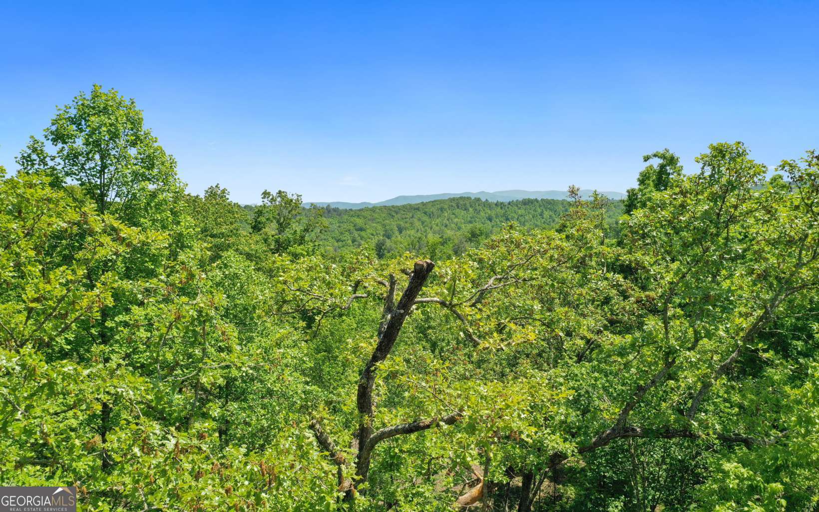 LT27,28B Haven Way Blue Ridge GA 30513