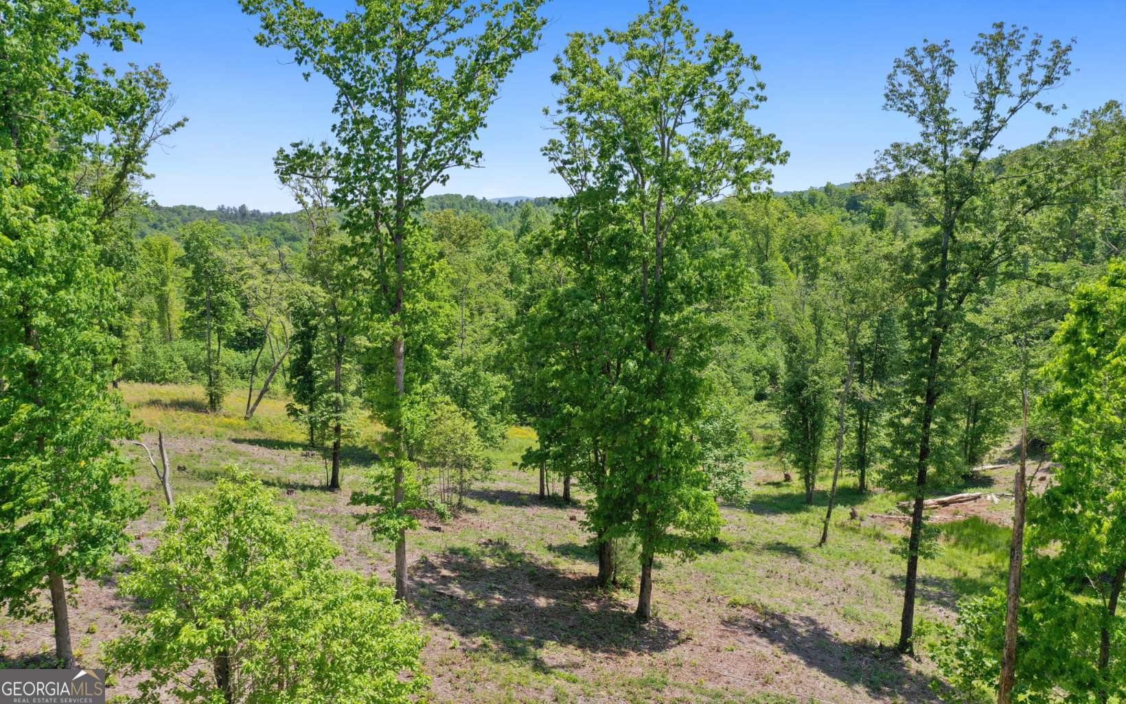 LT27,28B Haven Way Blue Ridge GA 30513