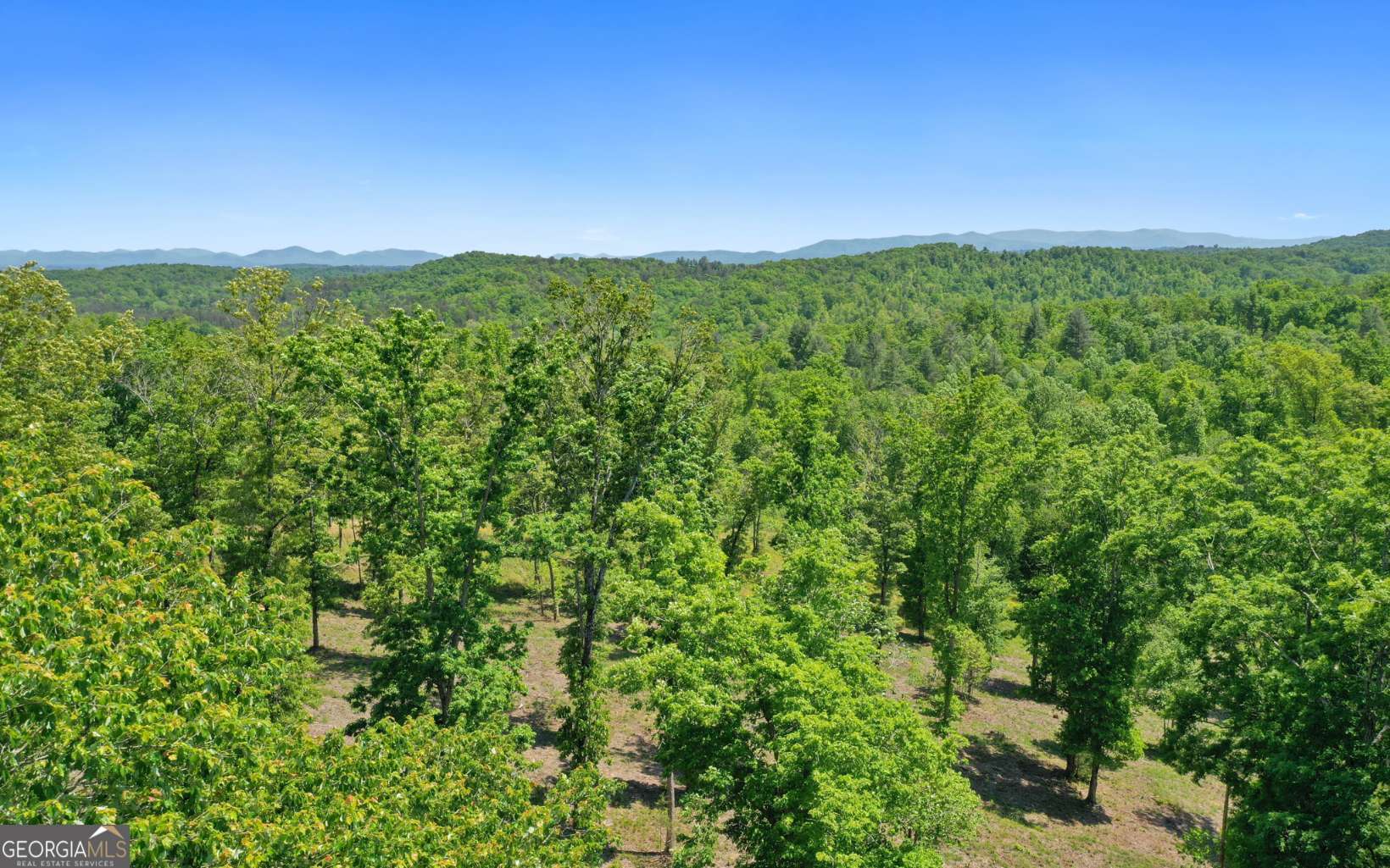 LT27,28B Haven Way Blue Ridge GA 30513