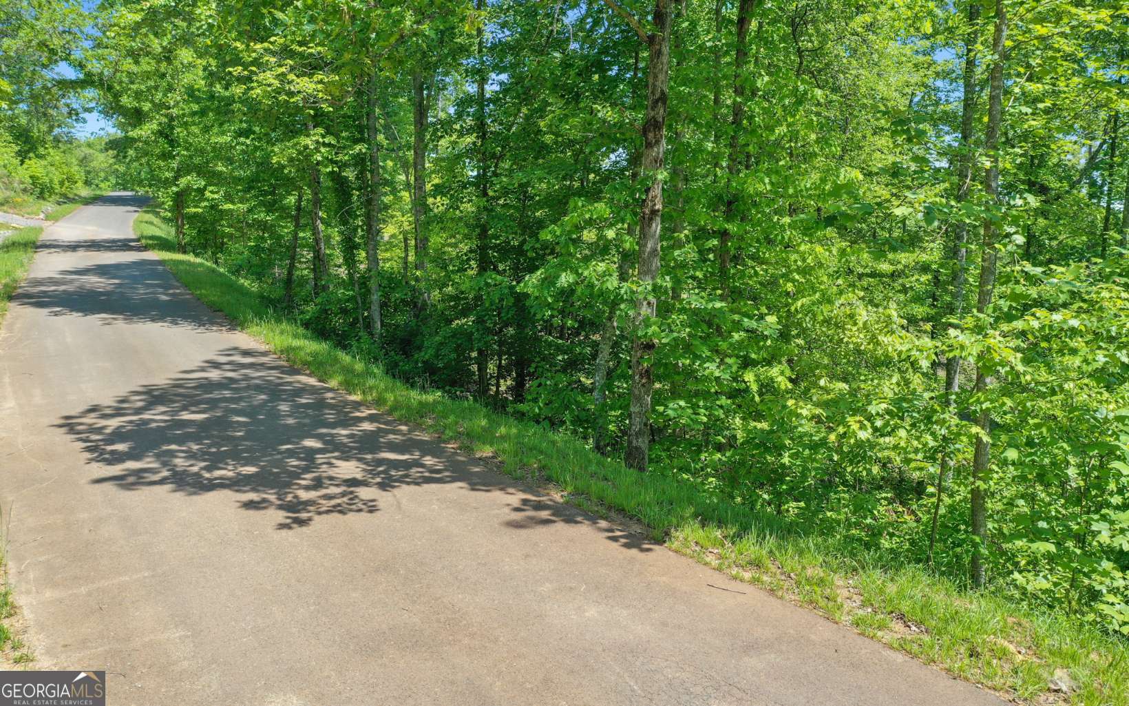 LT27,28B Haven Way Blue Ridge GA 30513