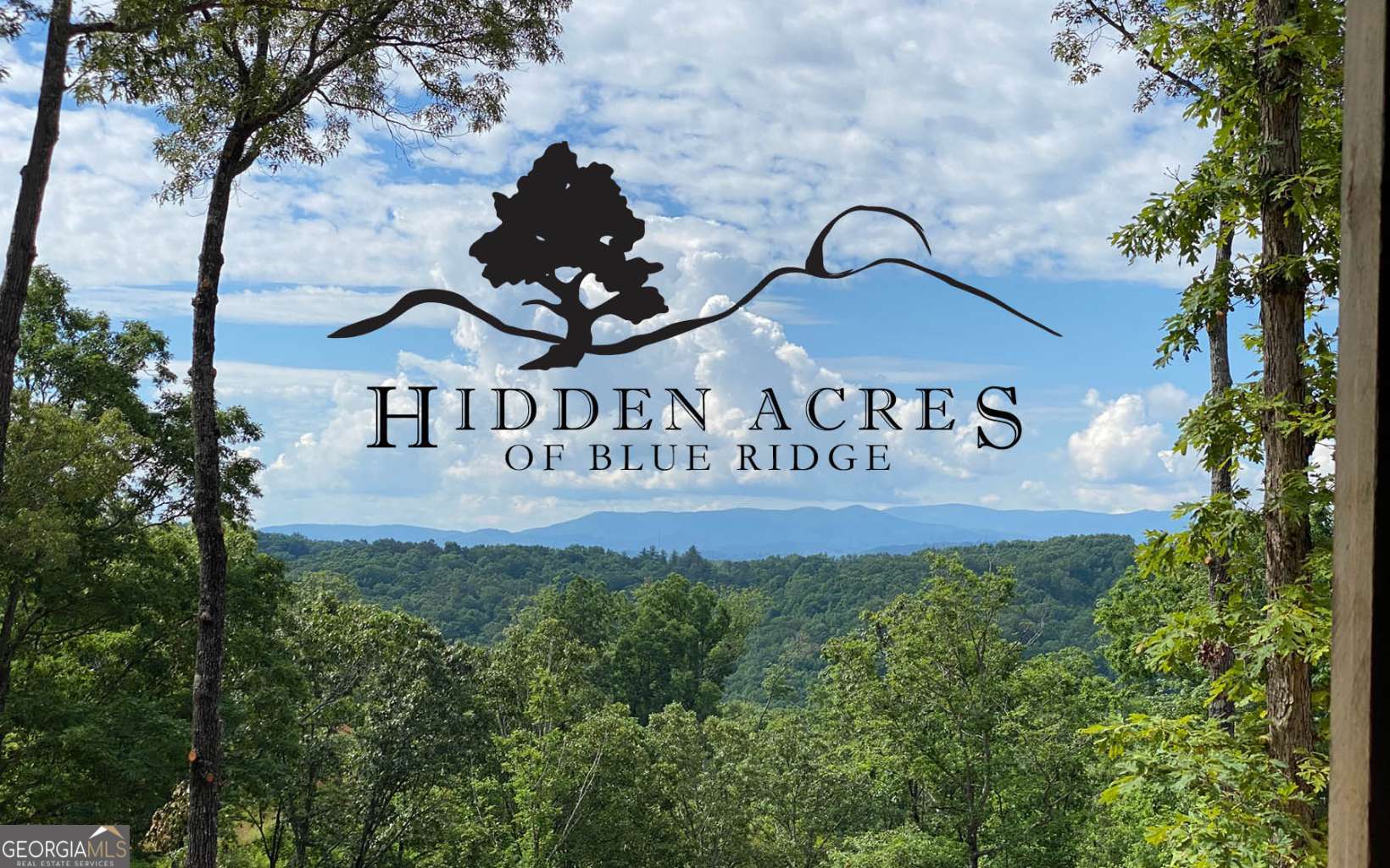 LT27,28B Haven Way Blue Ridge GA 30513