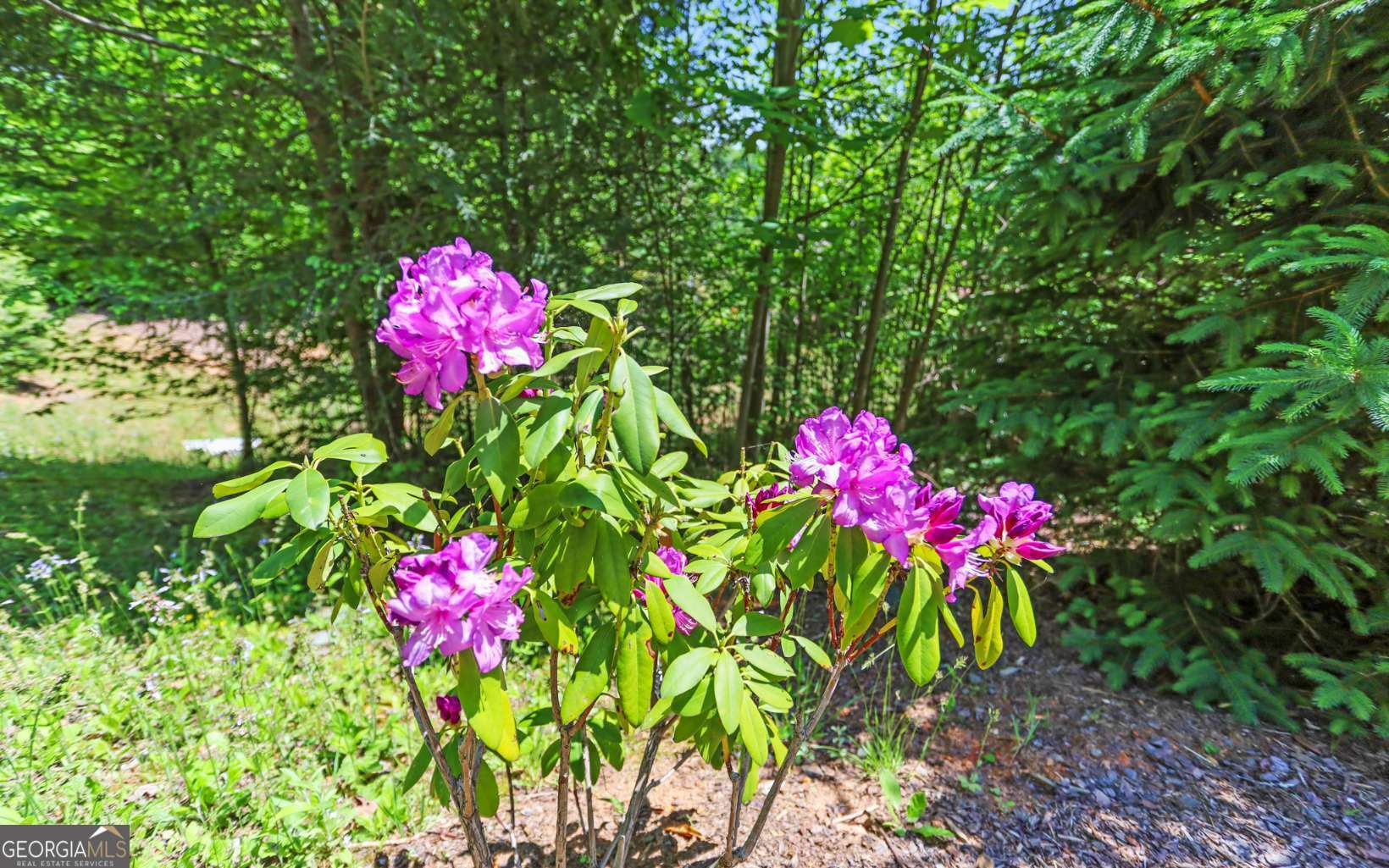 LT27,28B Haven Way Blue Ridge GA 30513
