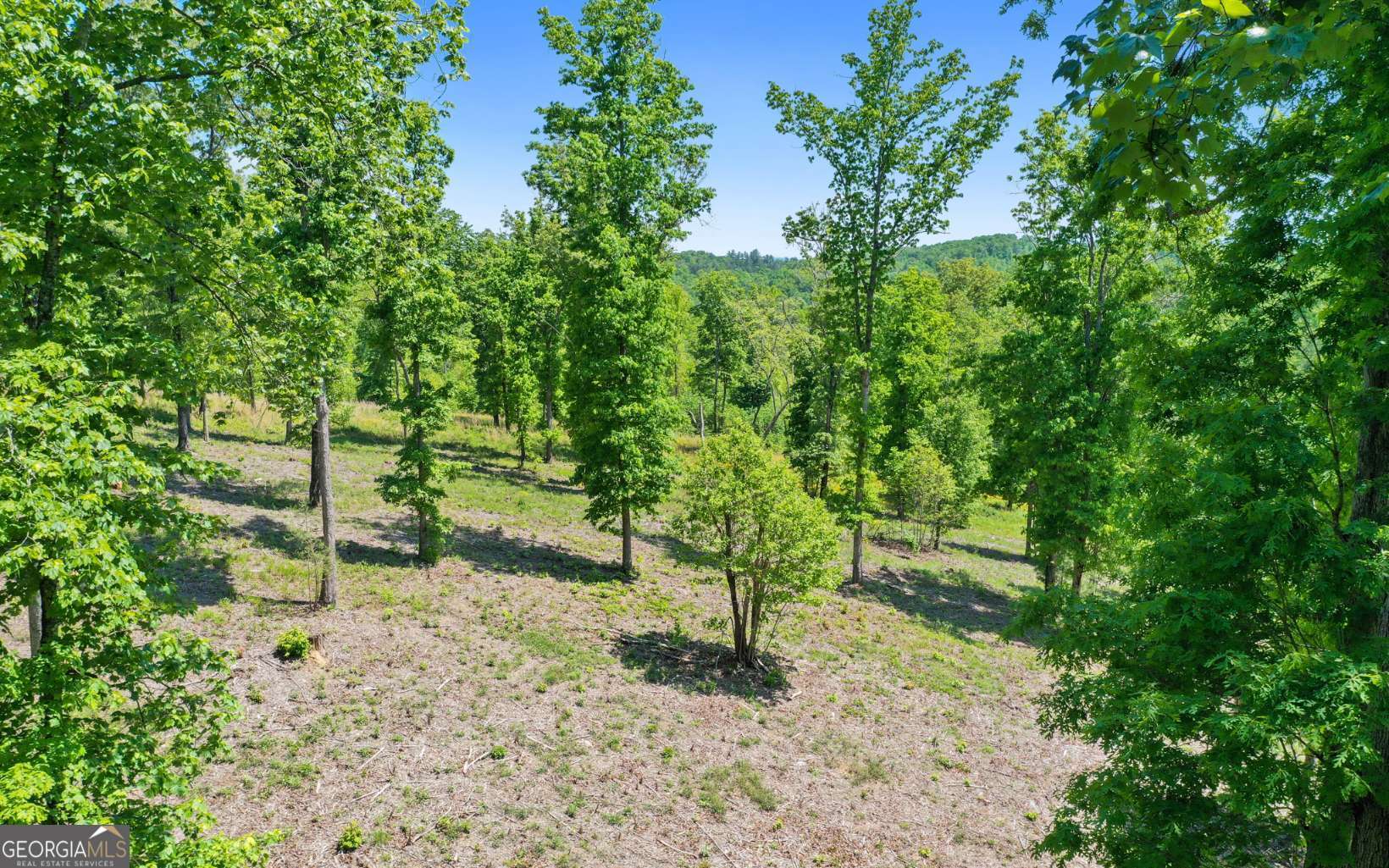 LT27,28B Haven Way Blue Ridge GA 30513