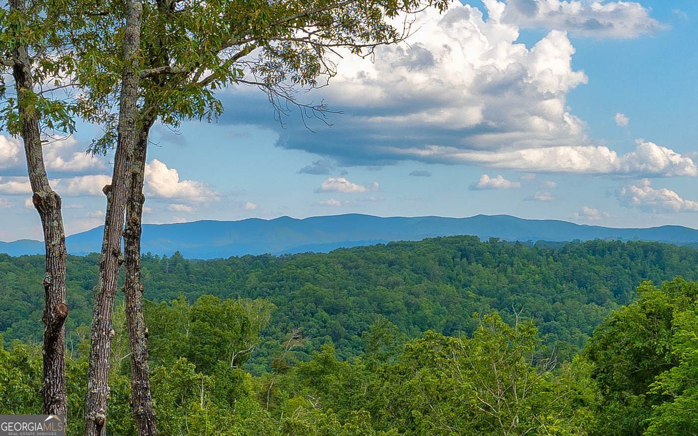 LT27,28B Haven Way Blue Ridge GA 30513