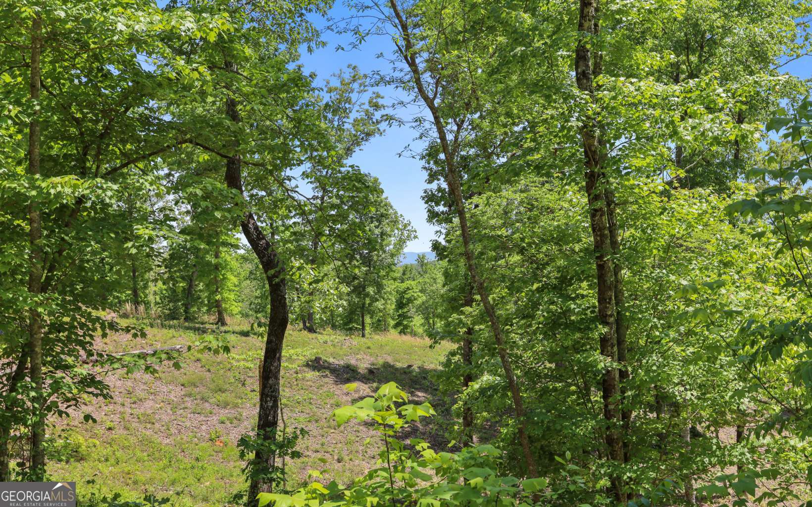 LT27,28B Haven Way Blue Ridge GA 30513