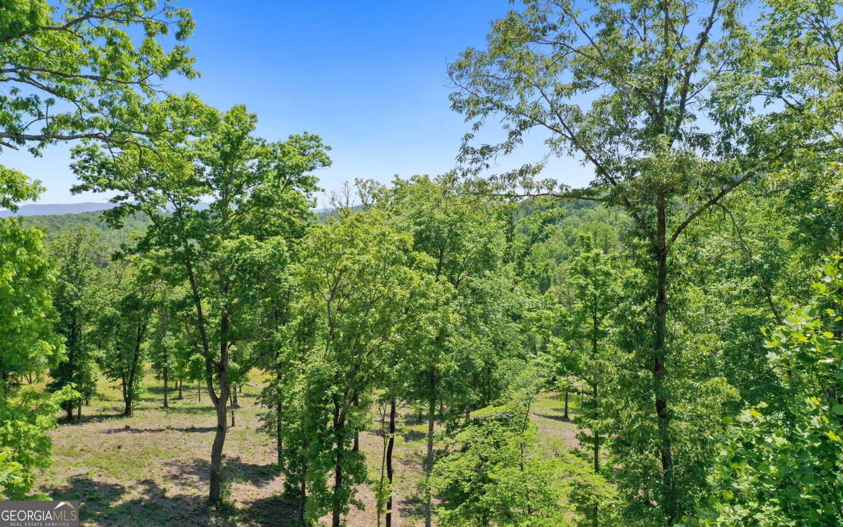 LT27,28B Haven Way Blue Ridge GA 30513