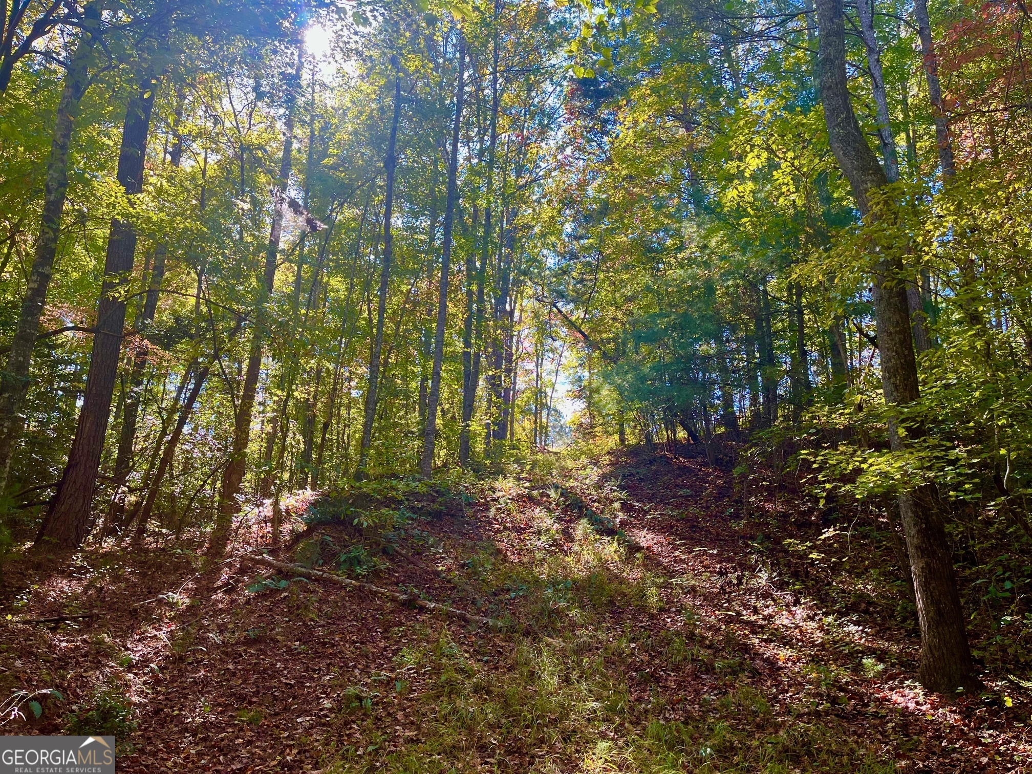 59 High River Landing Ellijay GA 30540