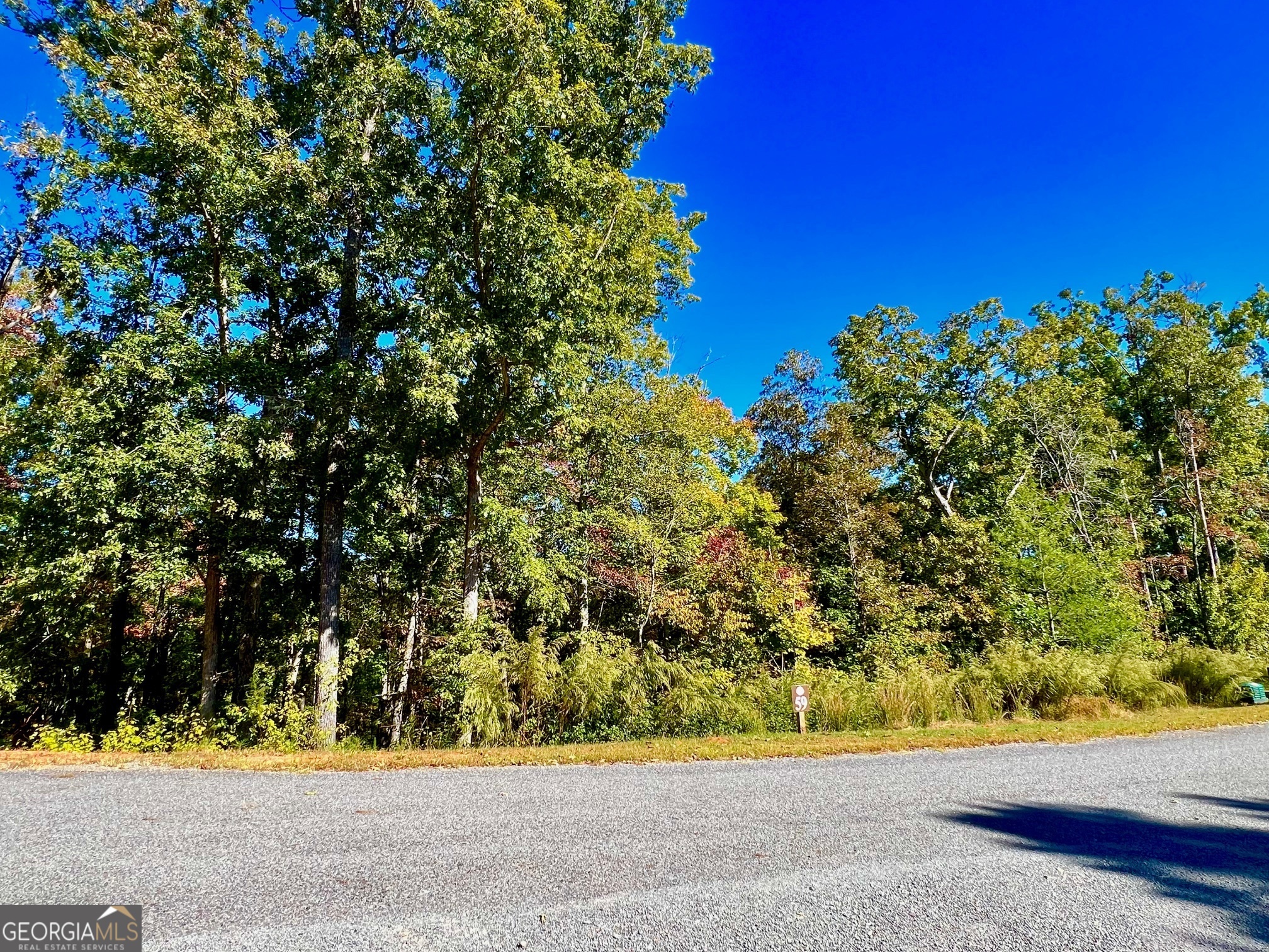 59 High River Landing Ellijay GA 30540