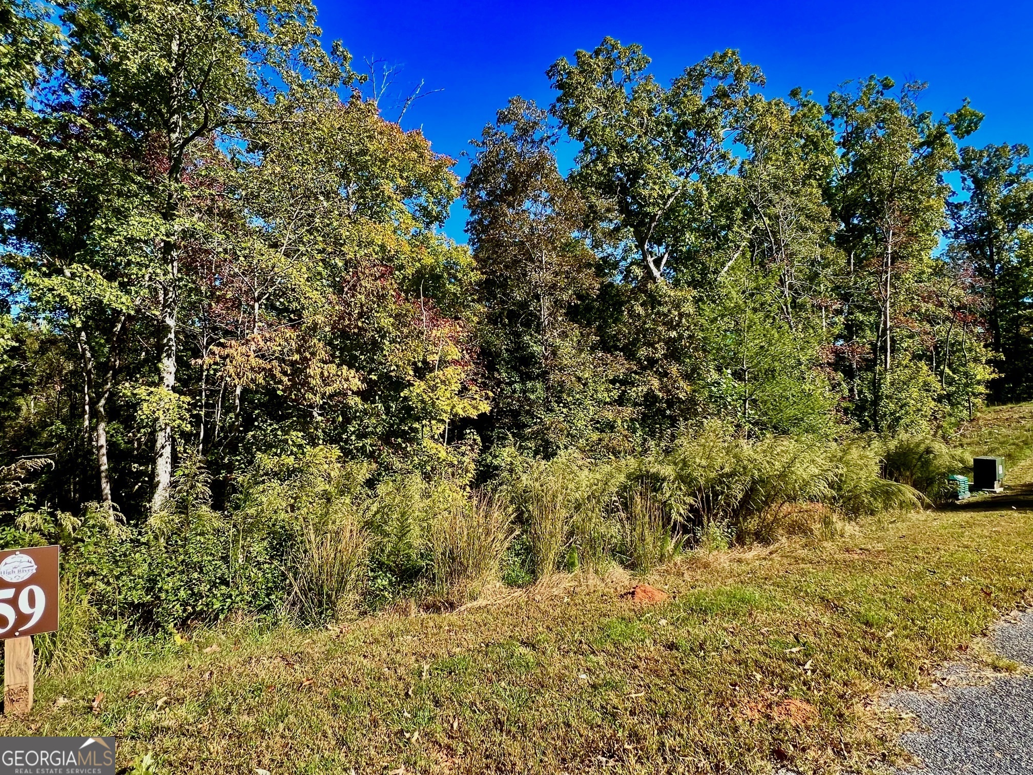 59 High River Landing Ellijay GA 30540