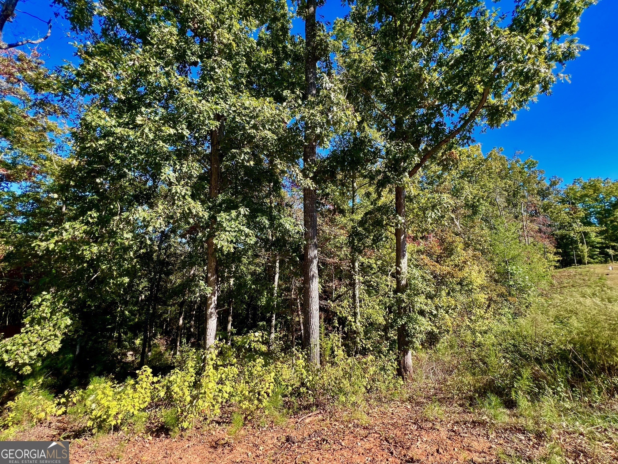 59 High River Landing Ellijay GA 30540