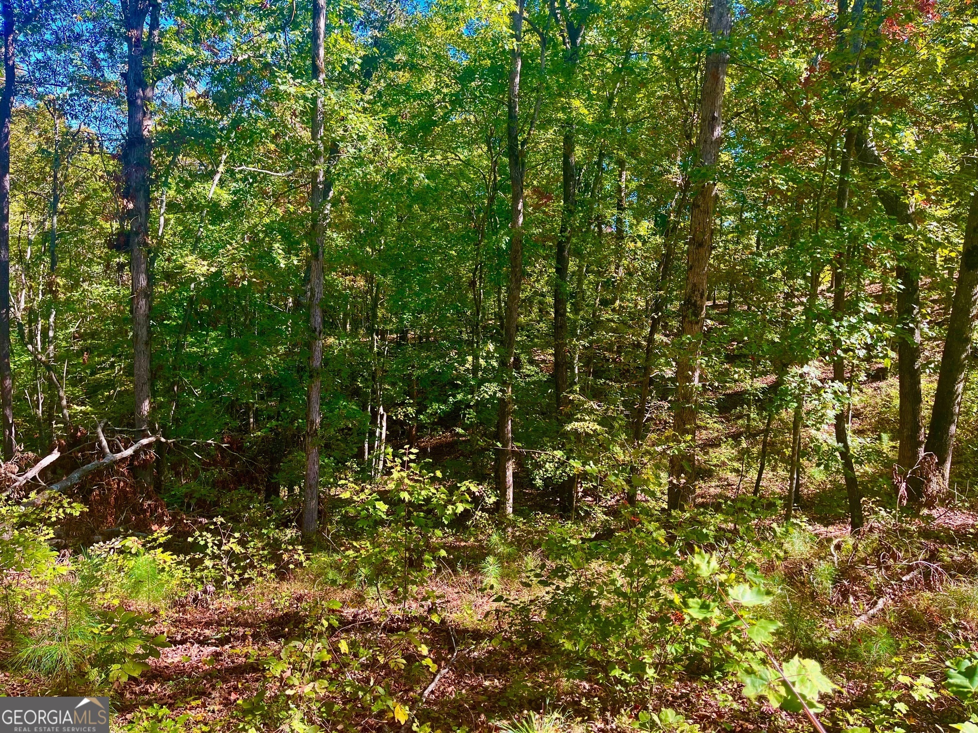 59 High River Landing Ellijay GA 30540