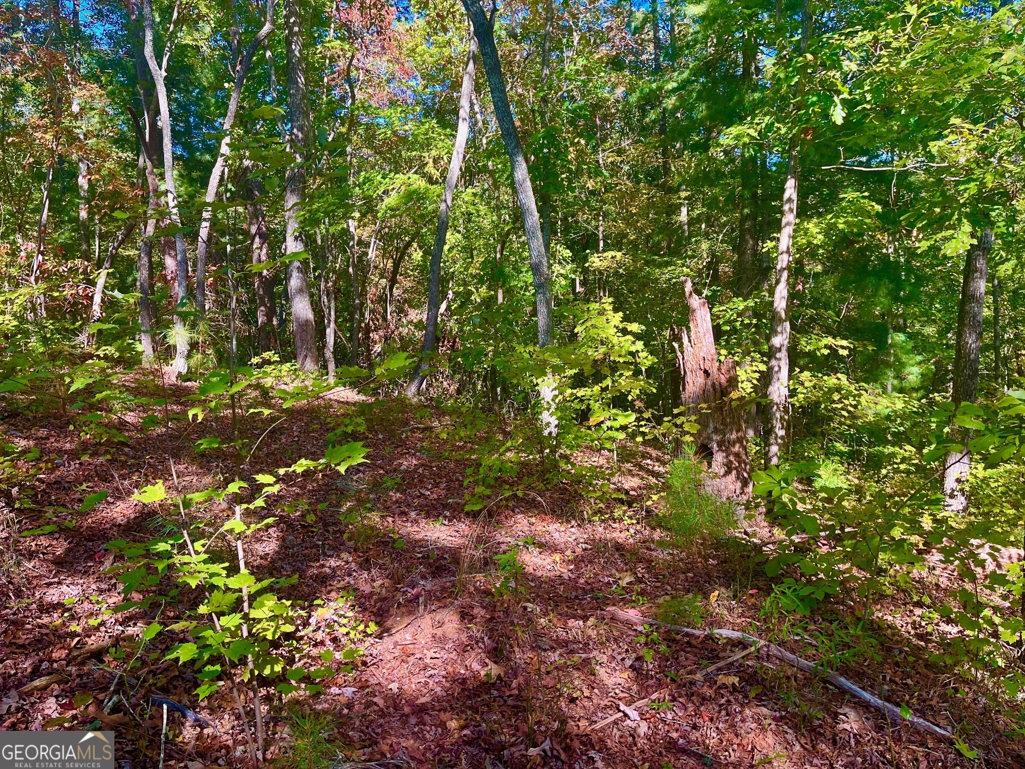 59 High River Landing Ellijay GA 30540
