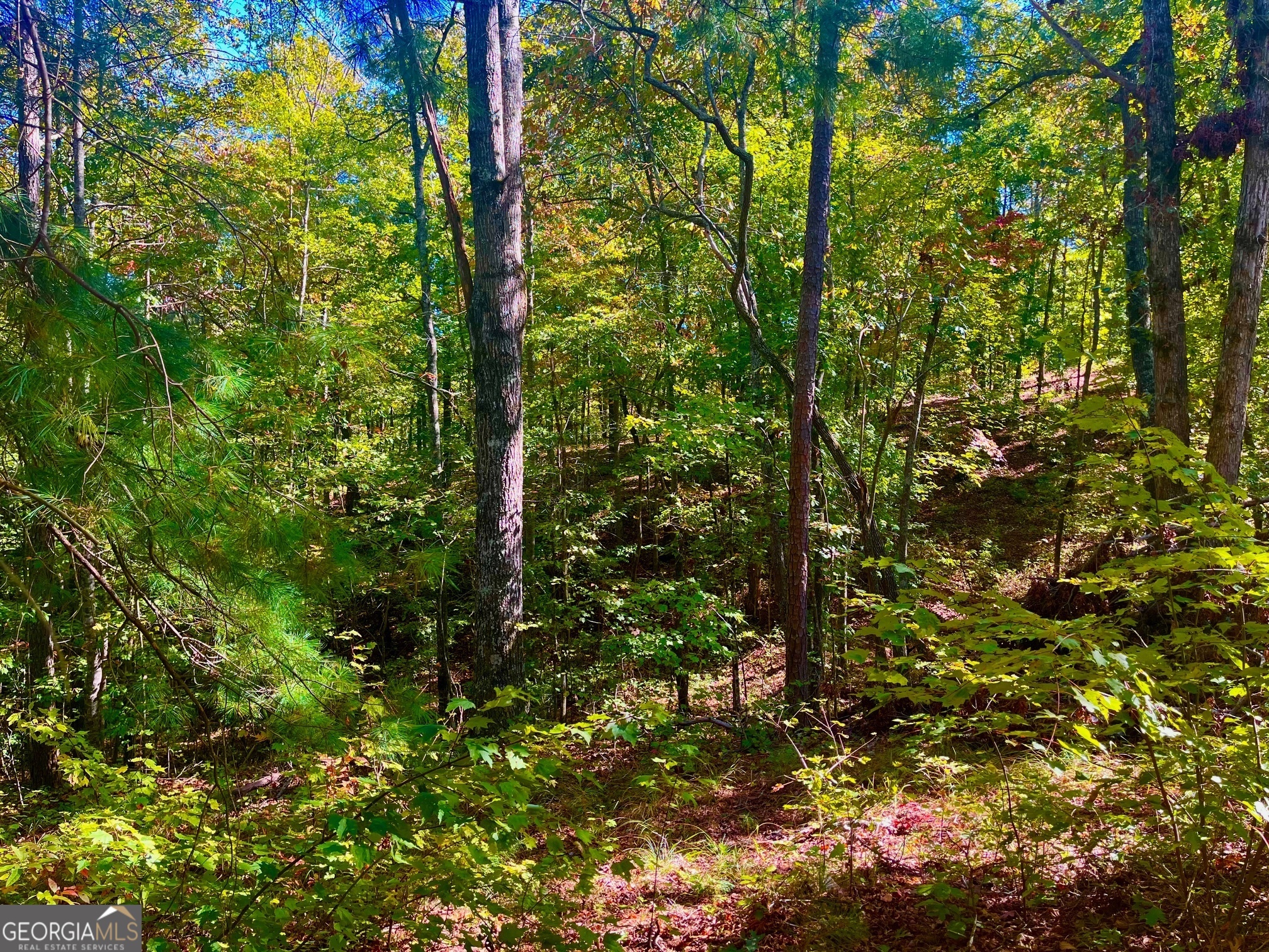 59 High River Landing Ellijay GA 30540