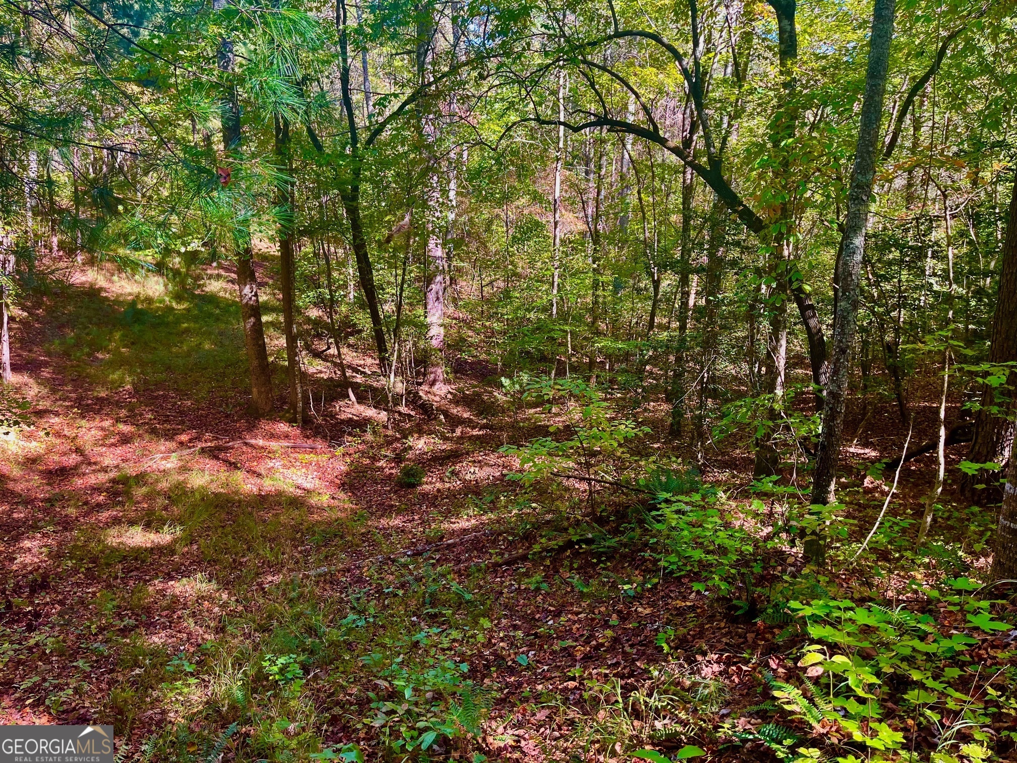 59 High River Landing Ellijay GA 30540
