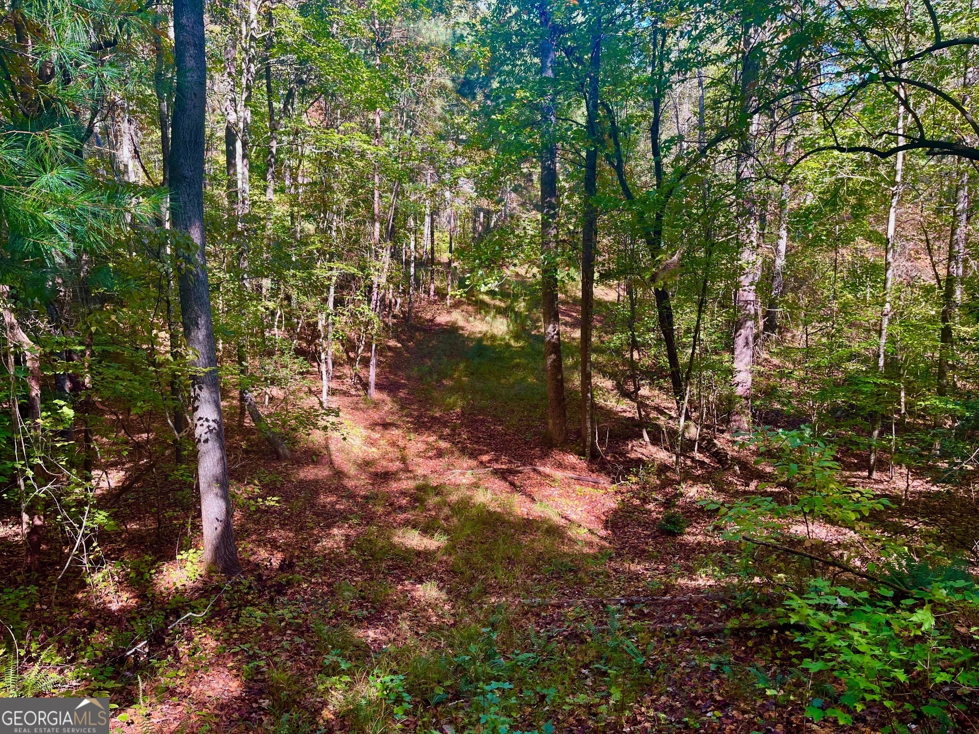 59 High River Landing Ellijay GA 30540