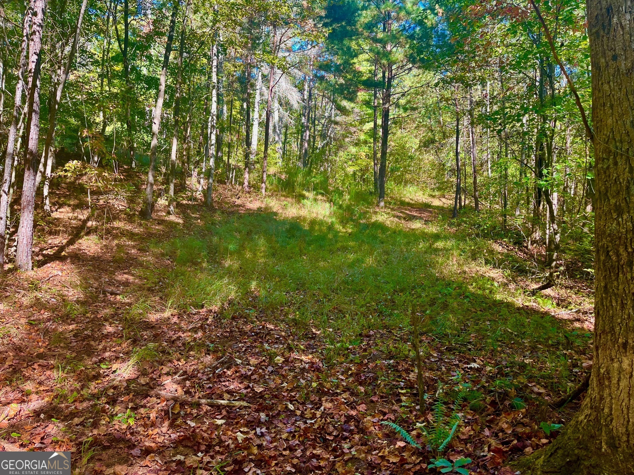 59 High River Landing Ellijay GA 30540