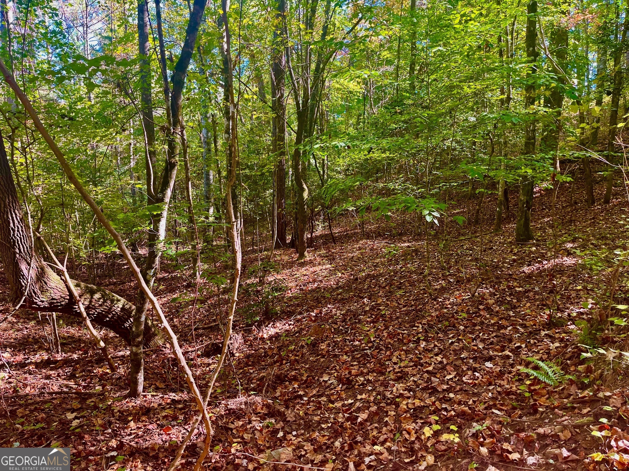 59 High River Landing Ellijay GA 30540
