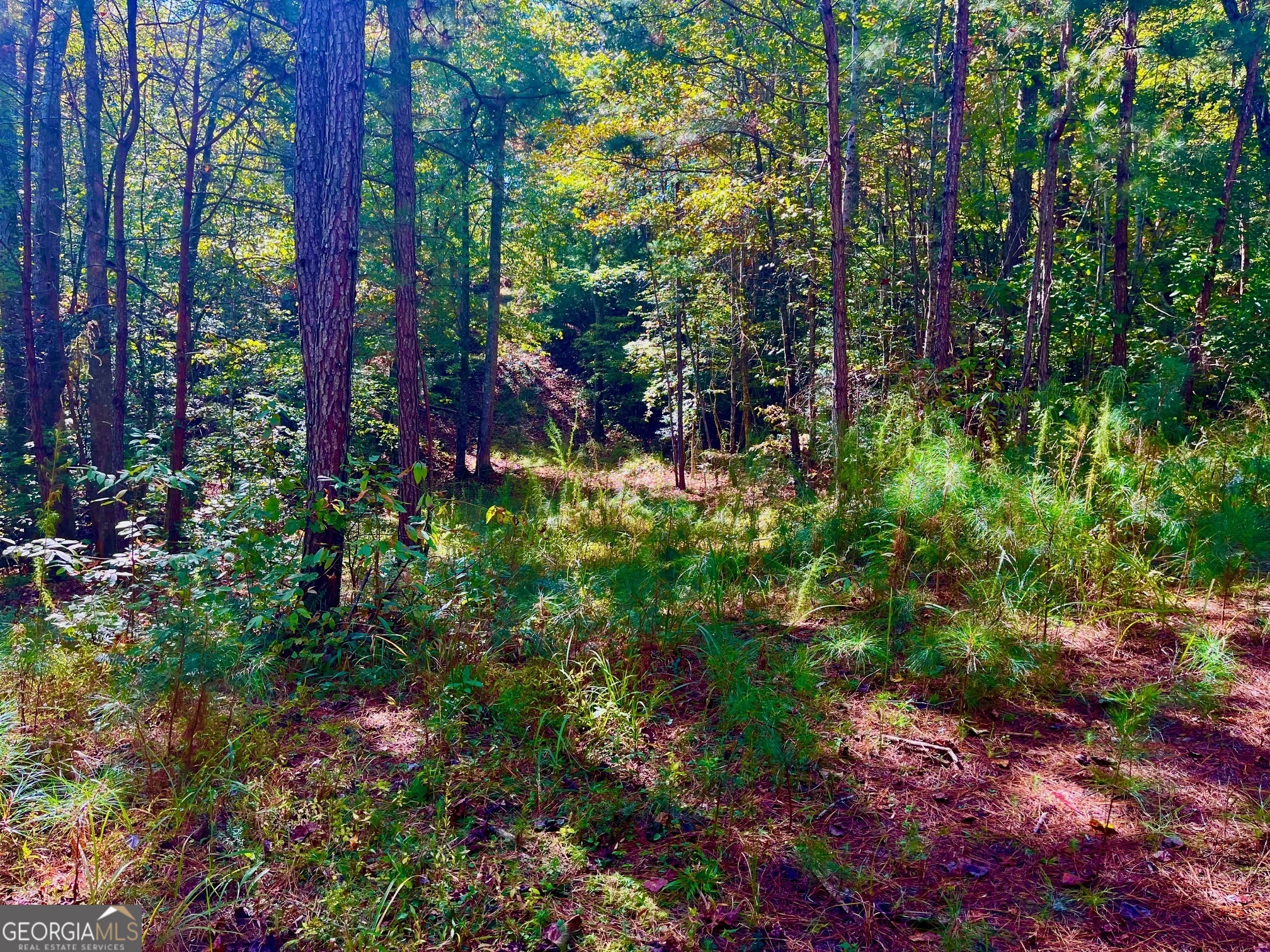 59 High River Landing Ellijay GA 30540