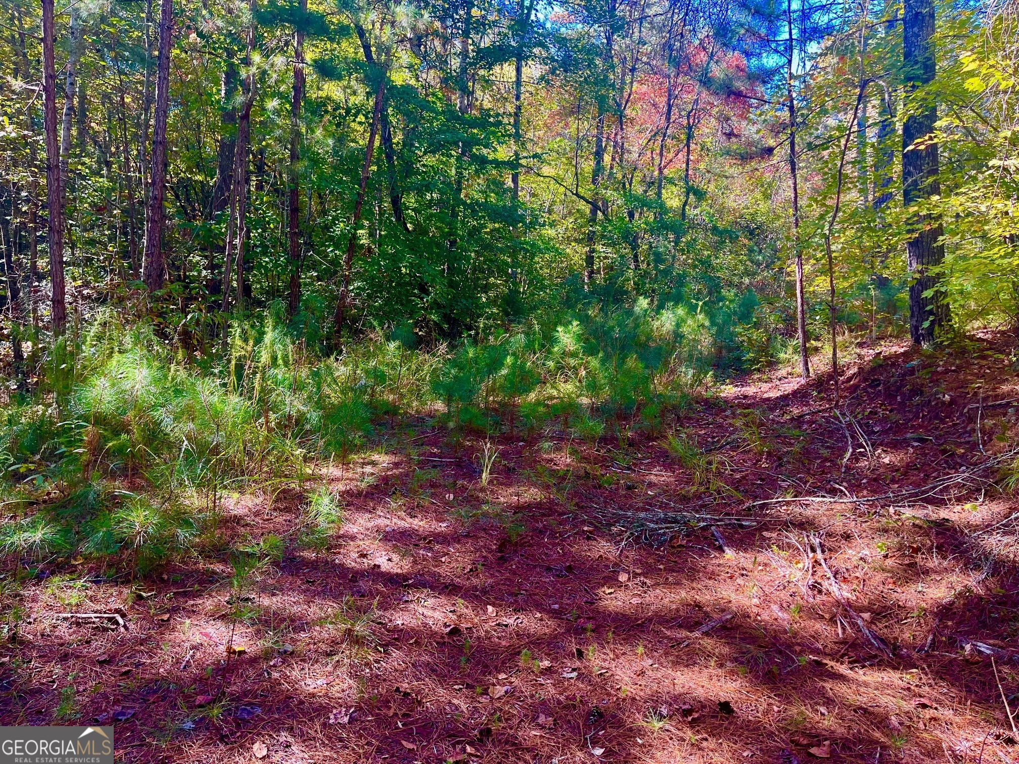 59 High River Landing Ellijay GA 30540