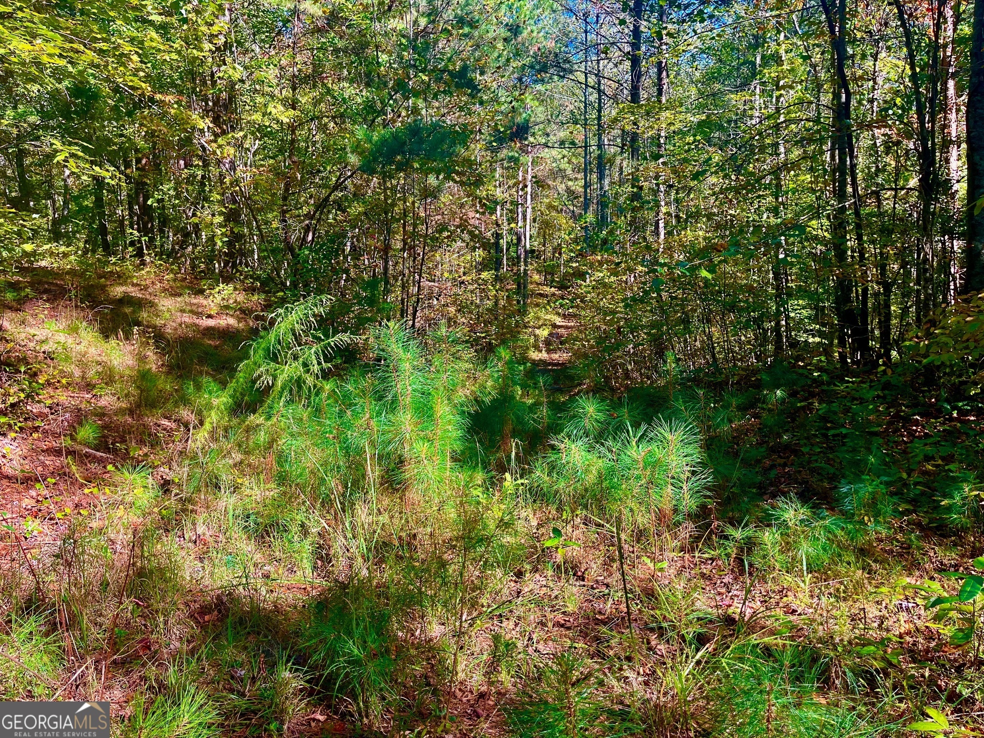 59 High River Landing Ellijay GA 30540