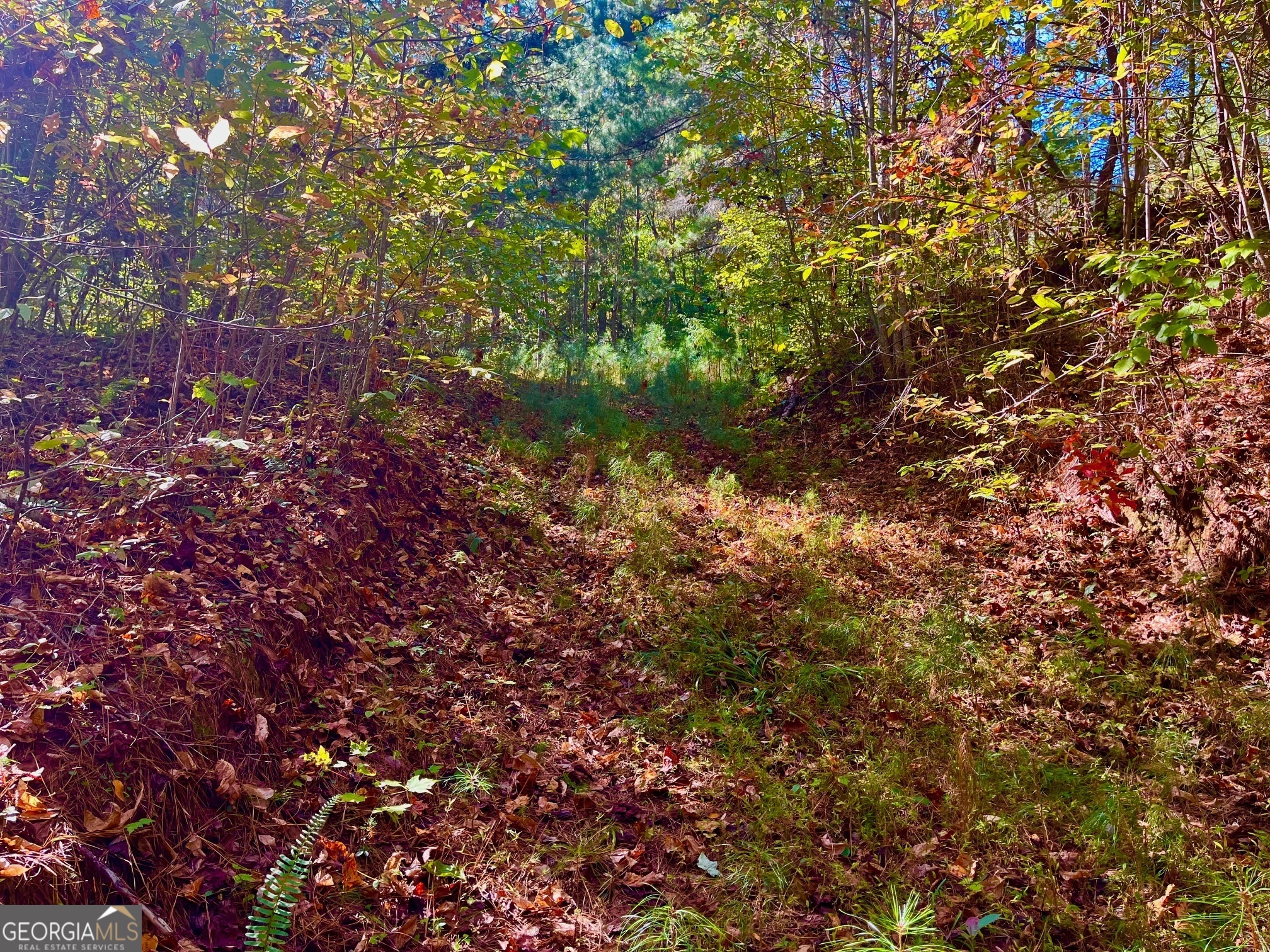 59 High River Landing Ellijay GA 30540