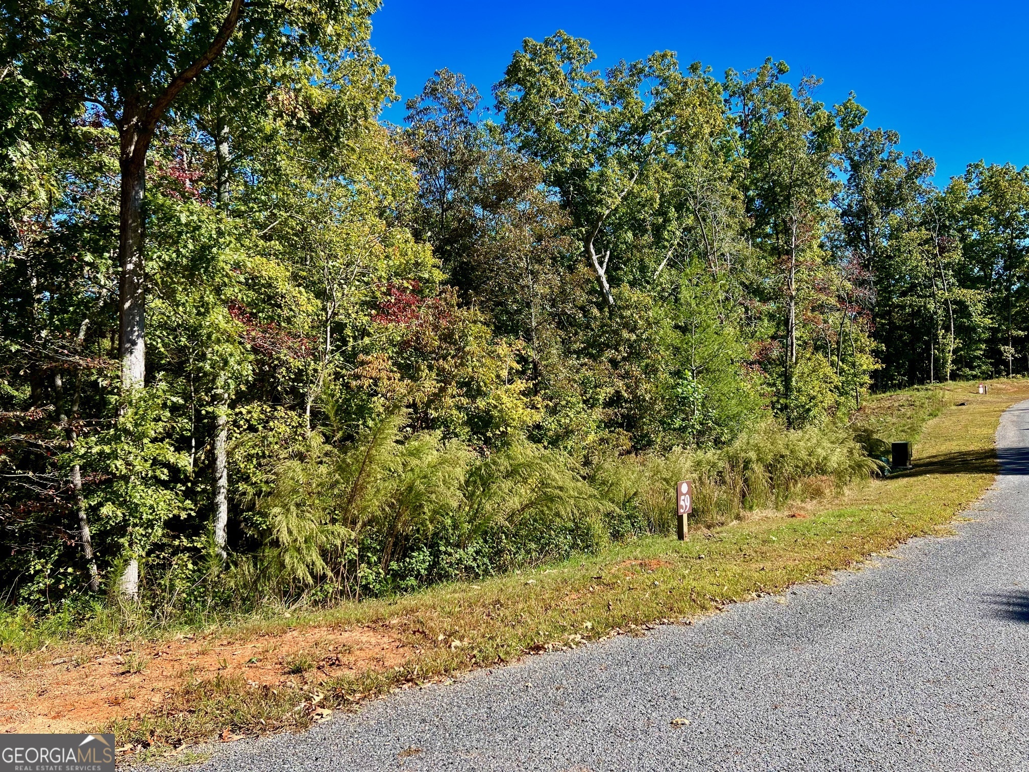 59 High River Landing Ellijay GA 30540