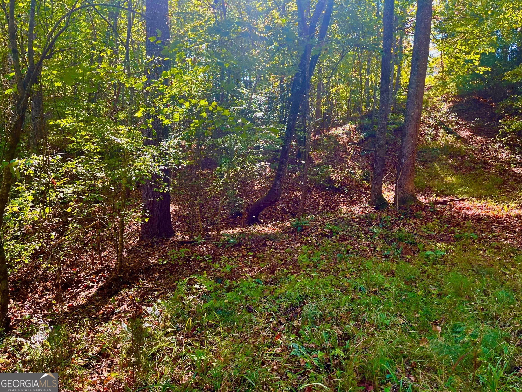 59 High River Landing Ellijay GA 30540