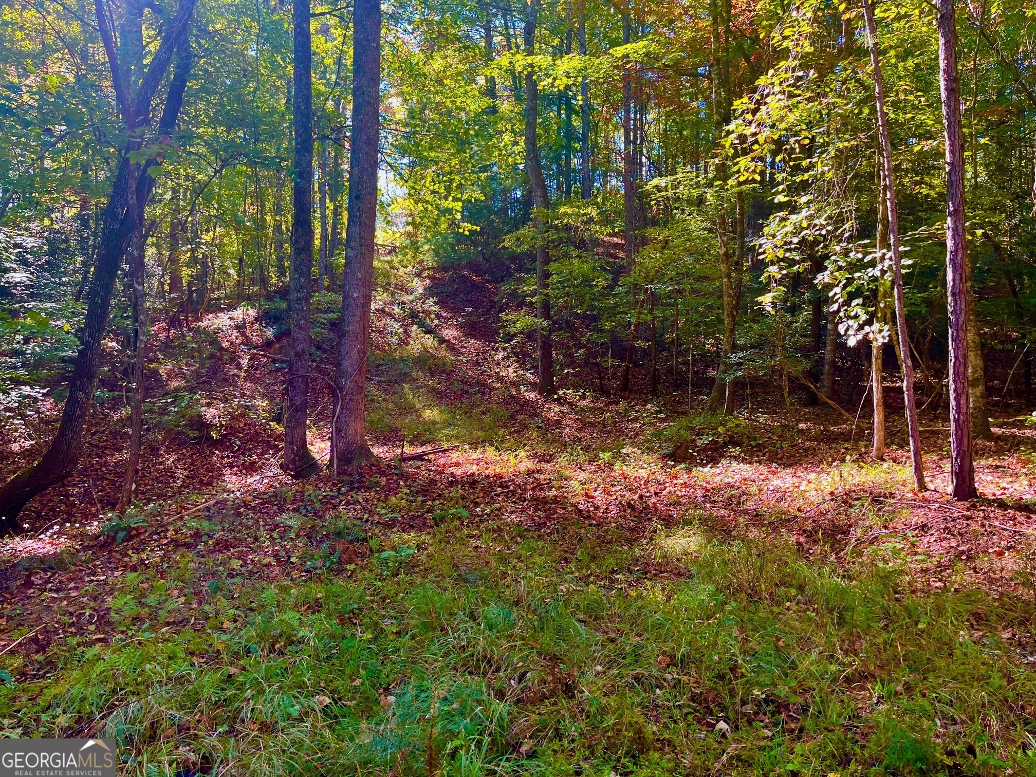59 High River Landing Ellijay GA 30540