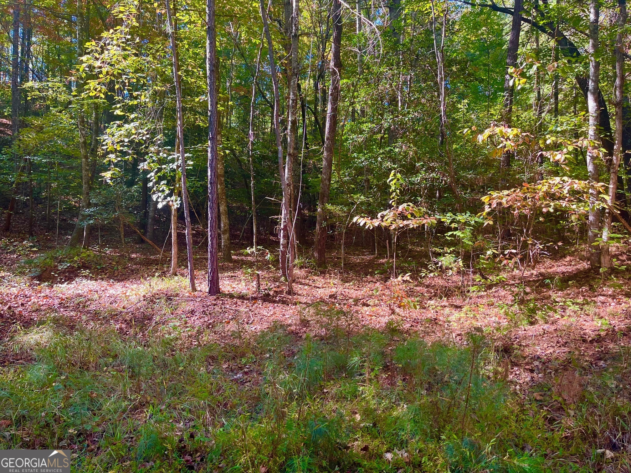 59 High River Landing Ellijay GA 30540