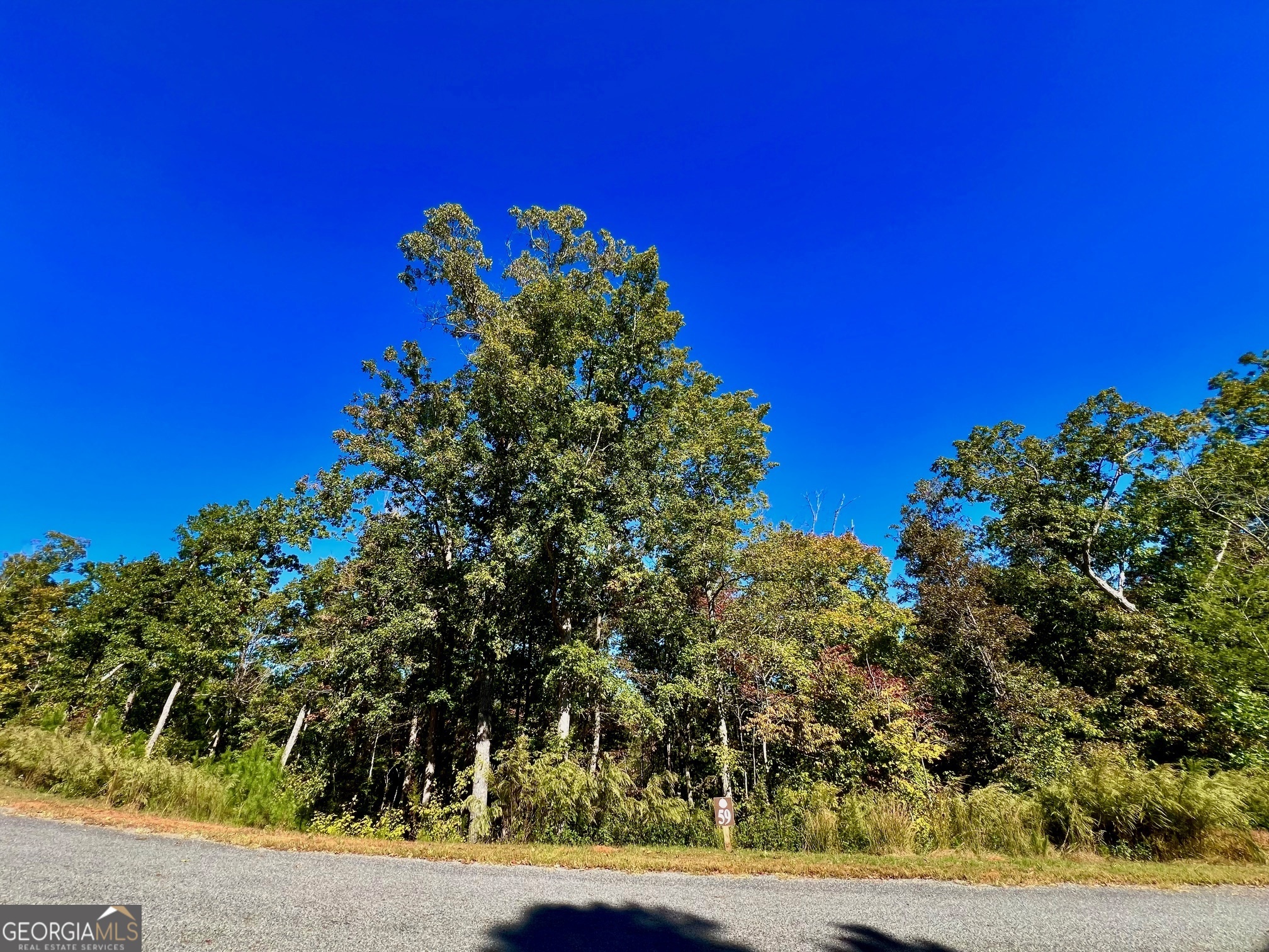 59 High River Landing Ellijay GA 30540