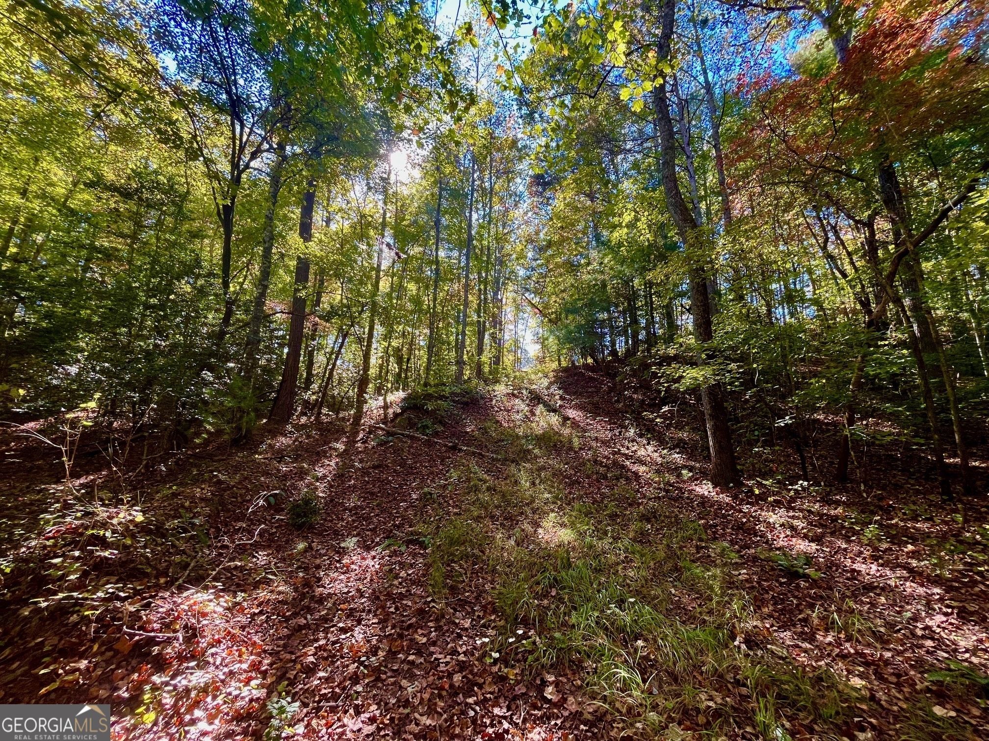 59 High River Landing Ellijay GA 30540