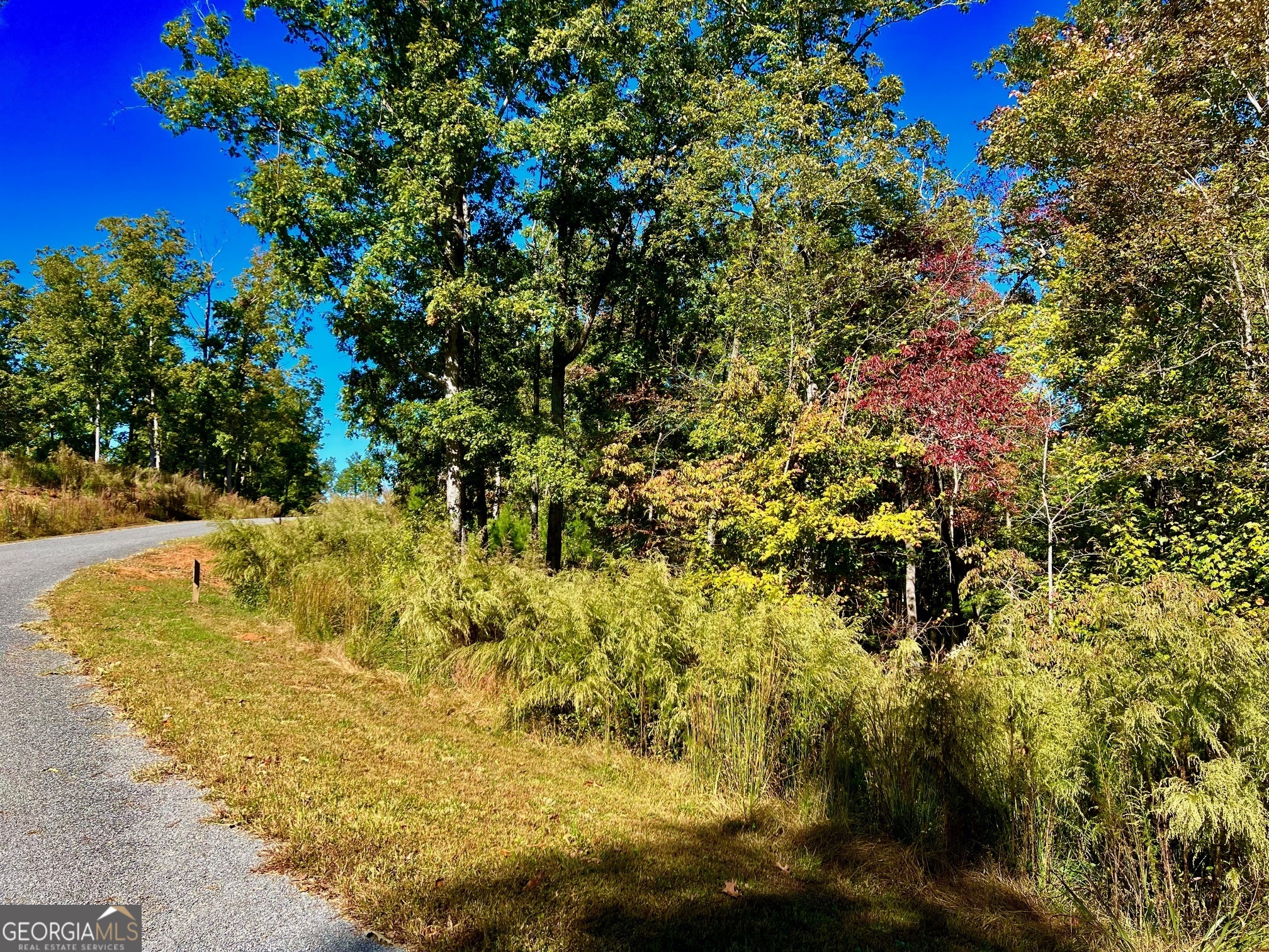 59 High River Landing Ellijay GA 30540