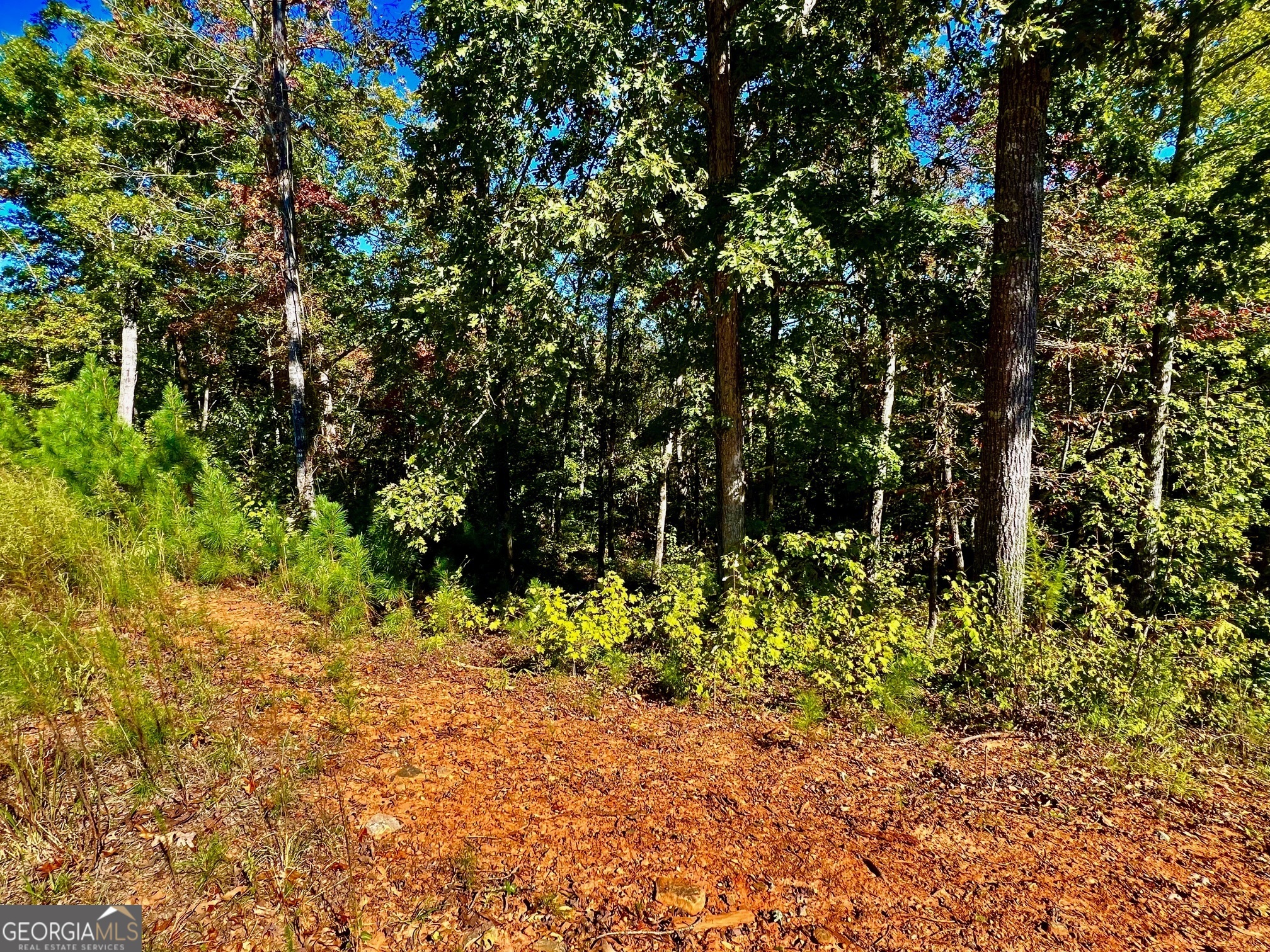 59 High River Landing Ellijay GA 30540
