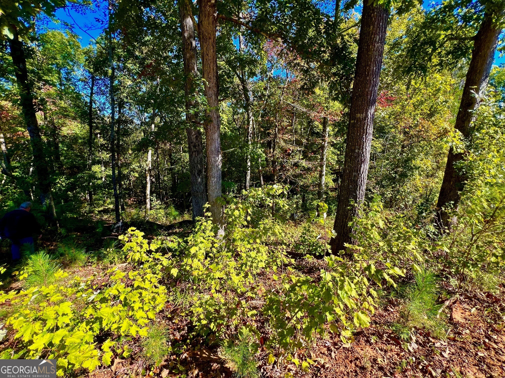 59 High River Landing Ellijay GA 30540
