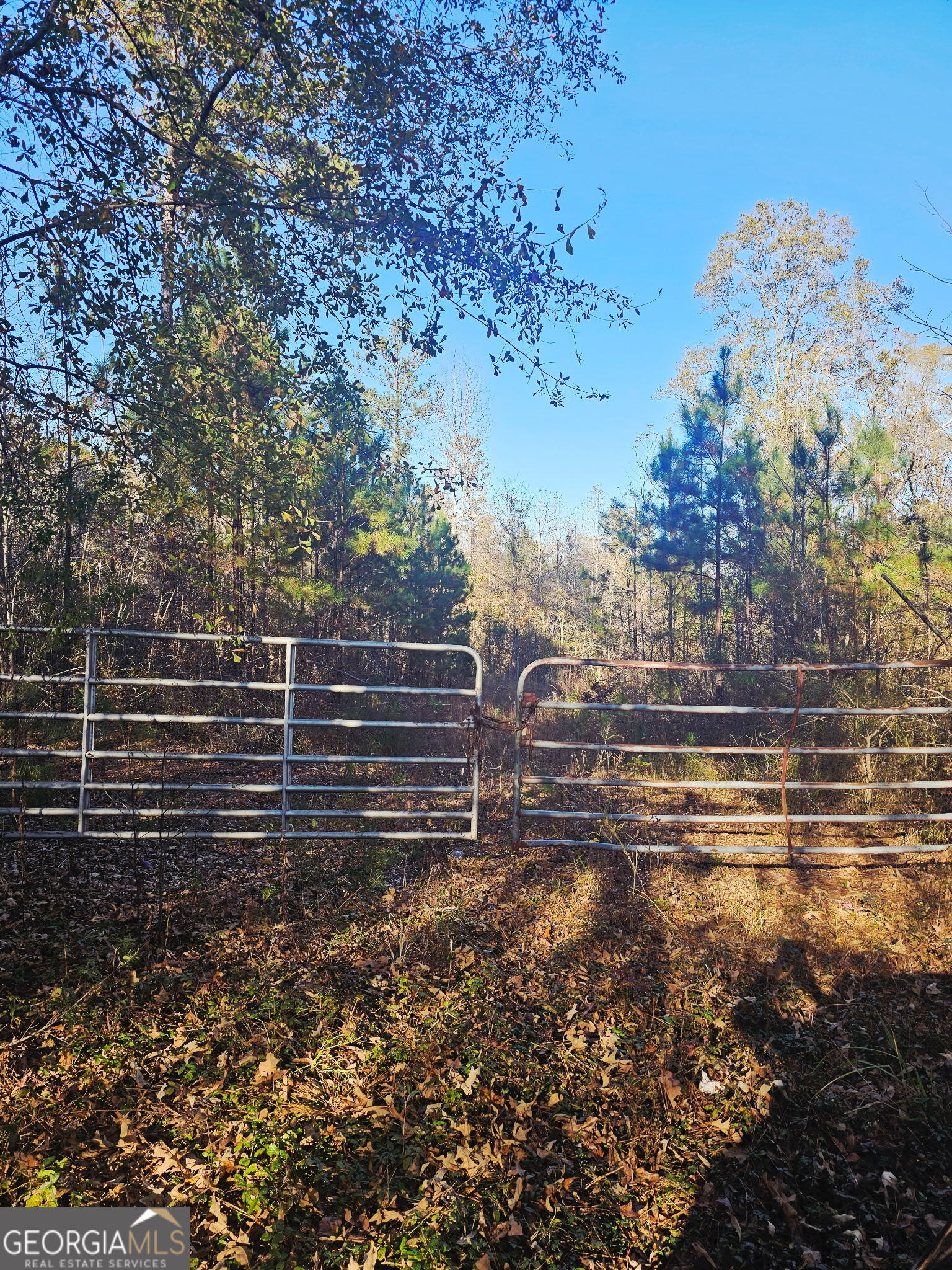 2199 Rehoboth Road Griffin GA 30223