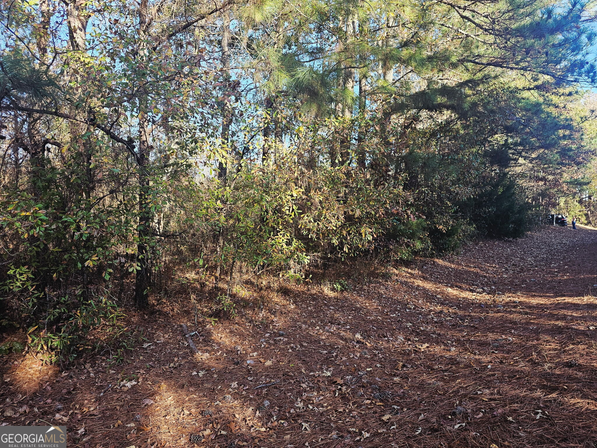 2199 Rehoboth Road Griffin GA 30223
